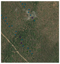 Remotesensing 16 04776 i008