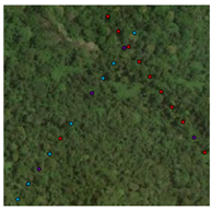 Remotesensing 16 04776 i010