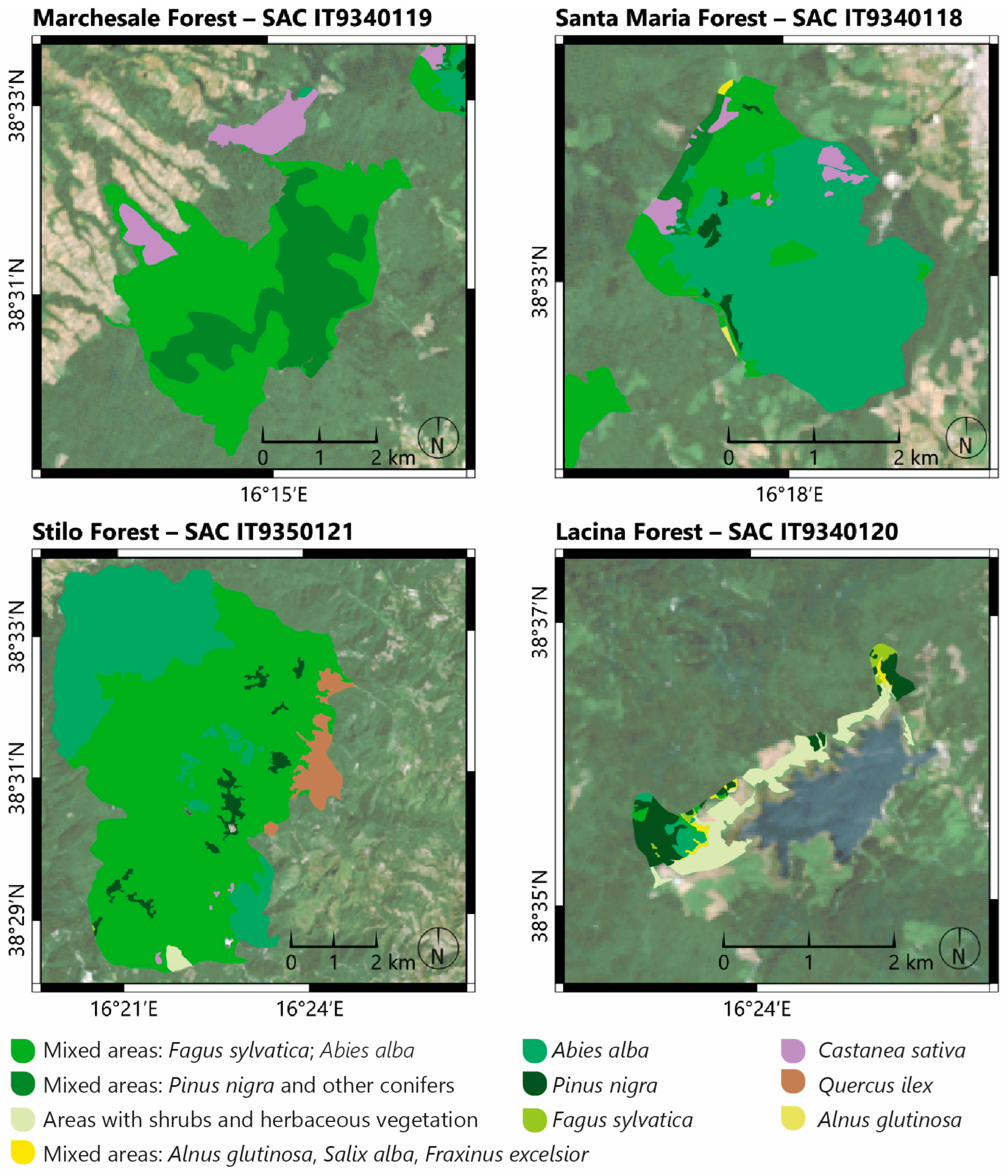 Remotesensing 16 04788 g003