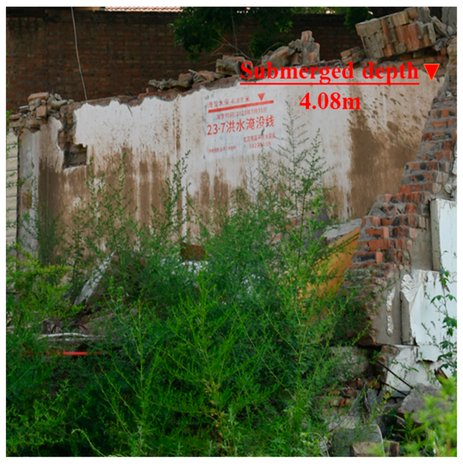 Remotesensing 16 04802 g005