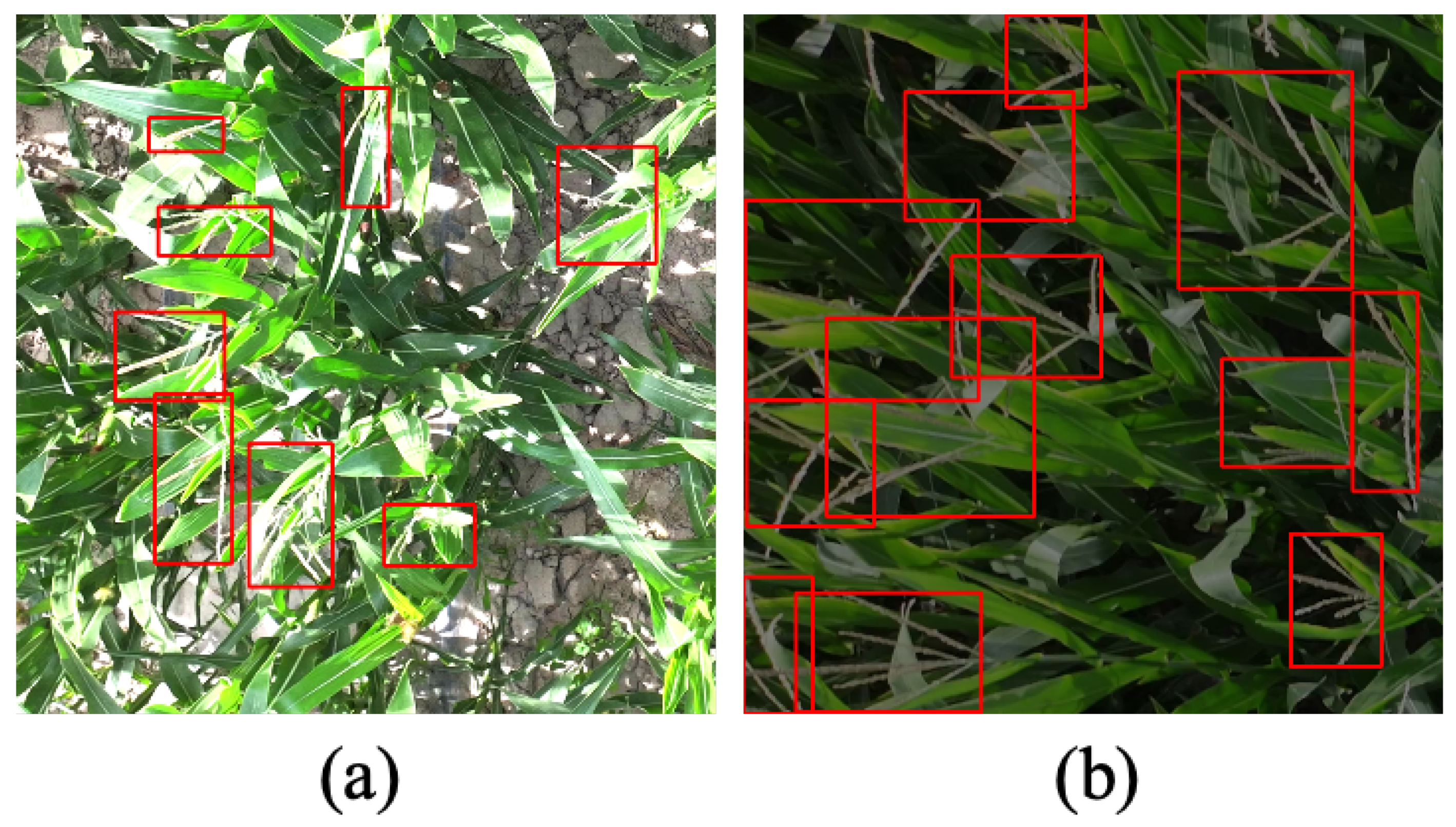 Remotesensing 17 00003 g010