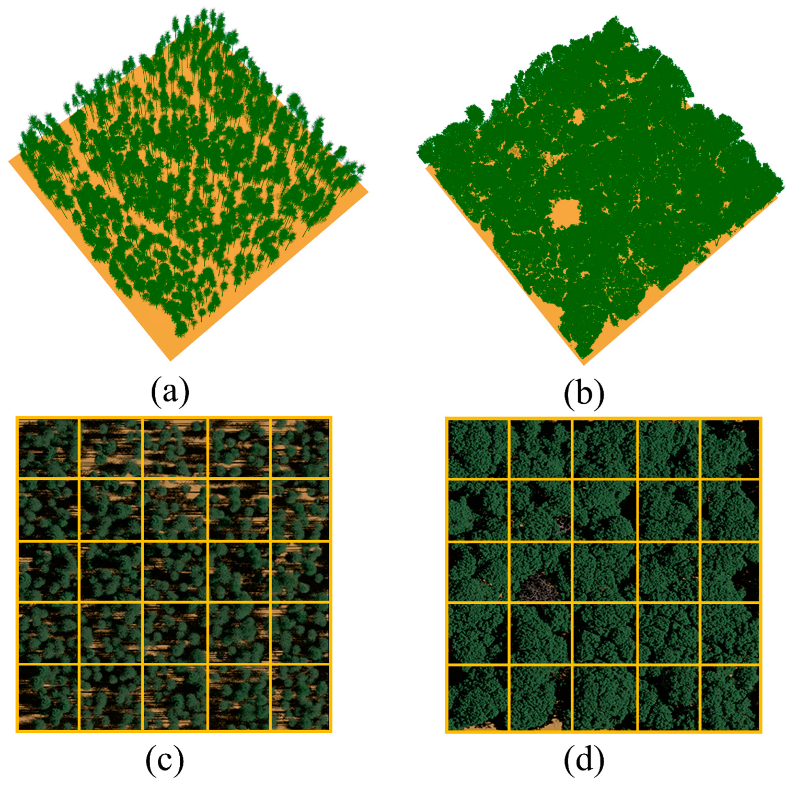 Remotesensing 17 00053 g002