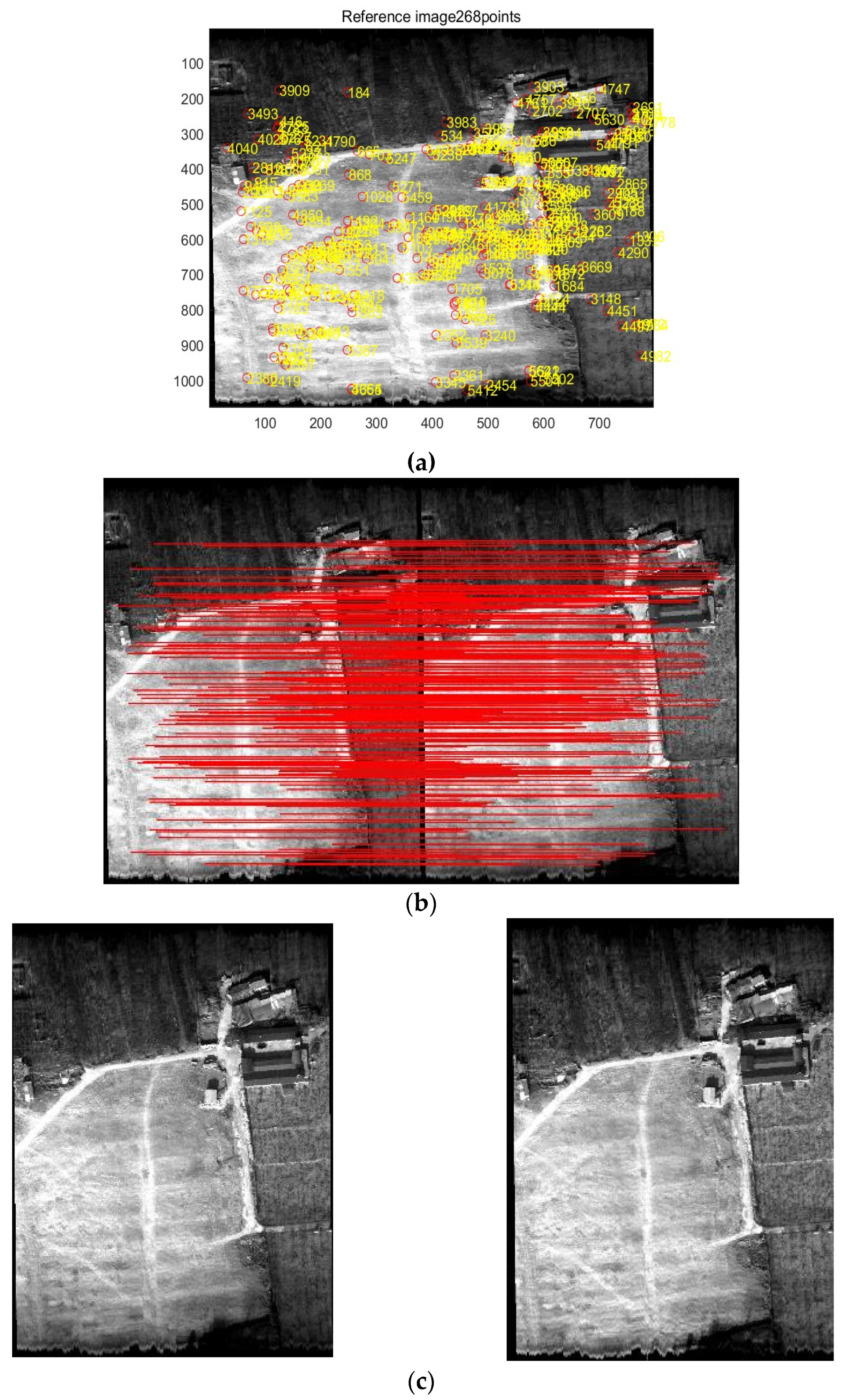 Remotesensing 17 00055 g012a