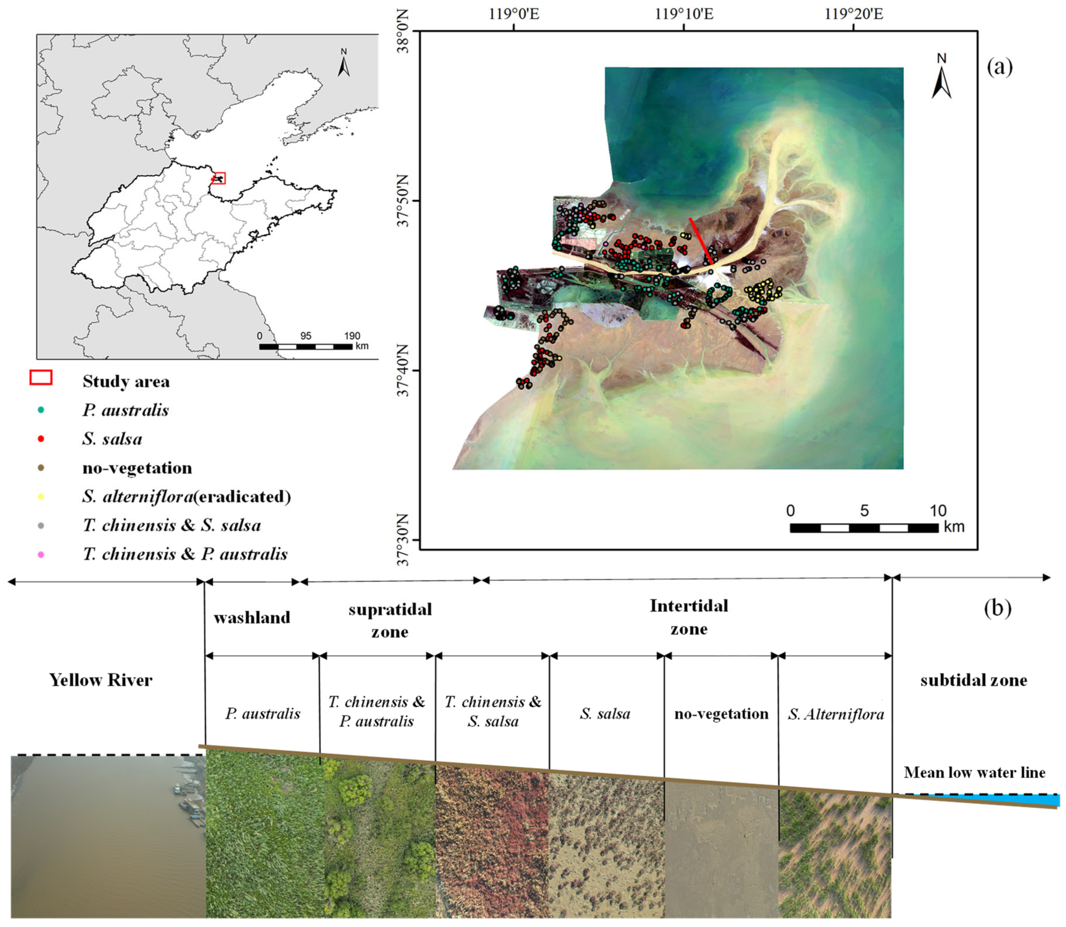 Remotesensing 17 00056 g001