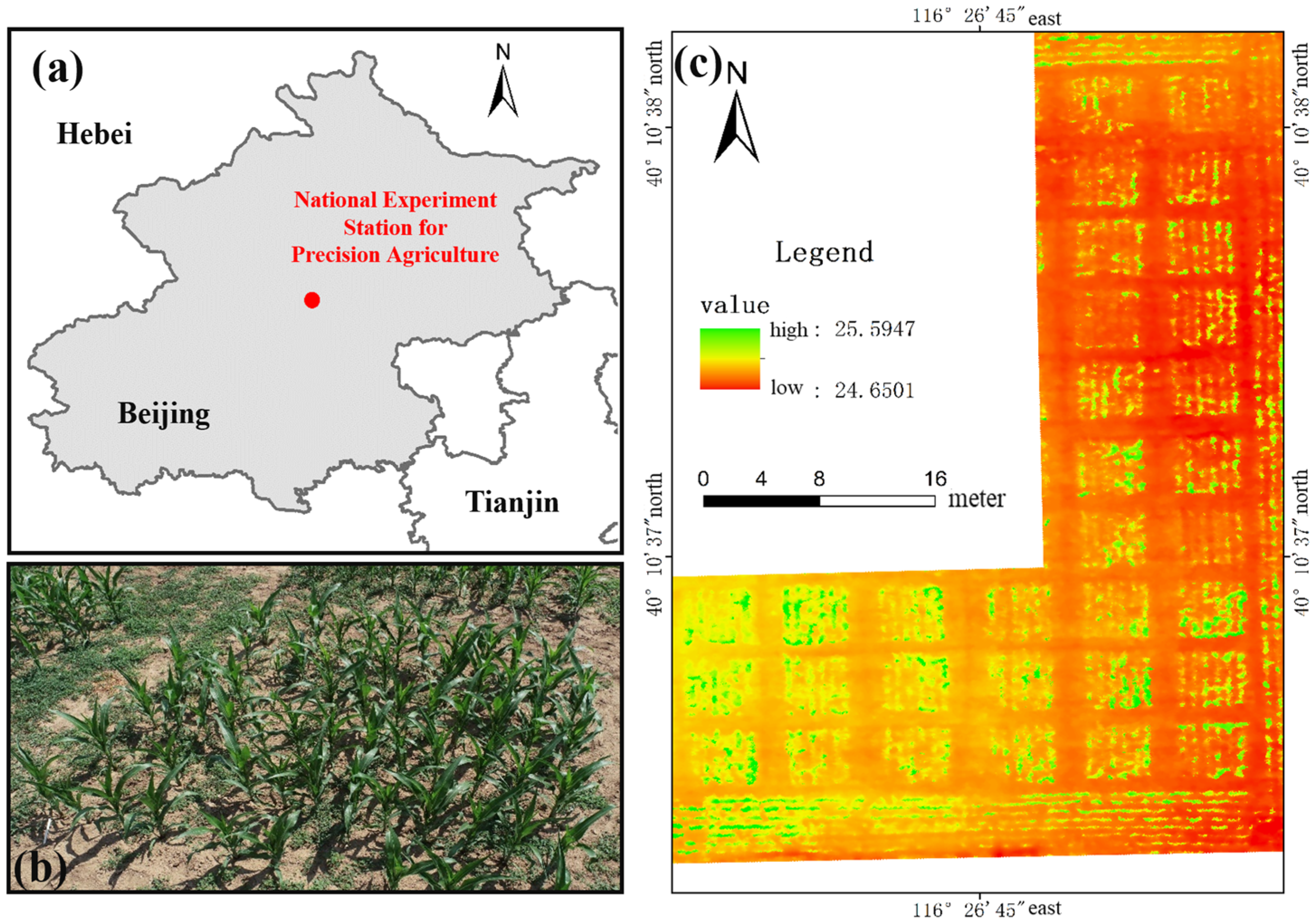 Remotesensing 17 00093 g001