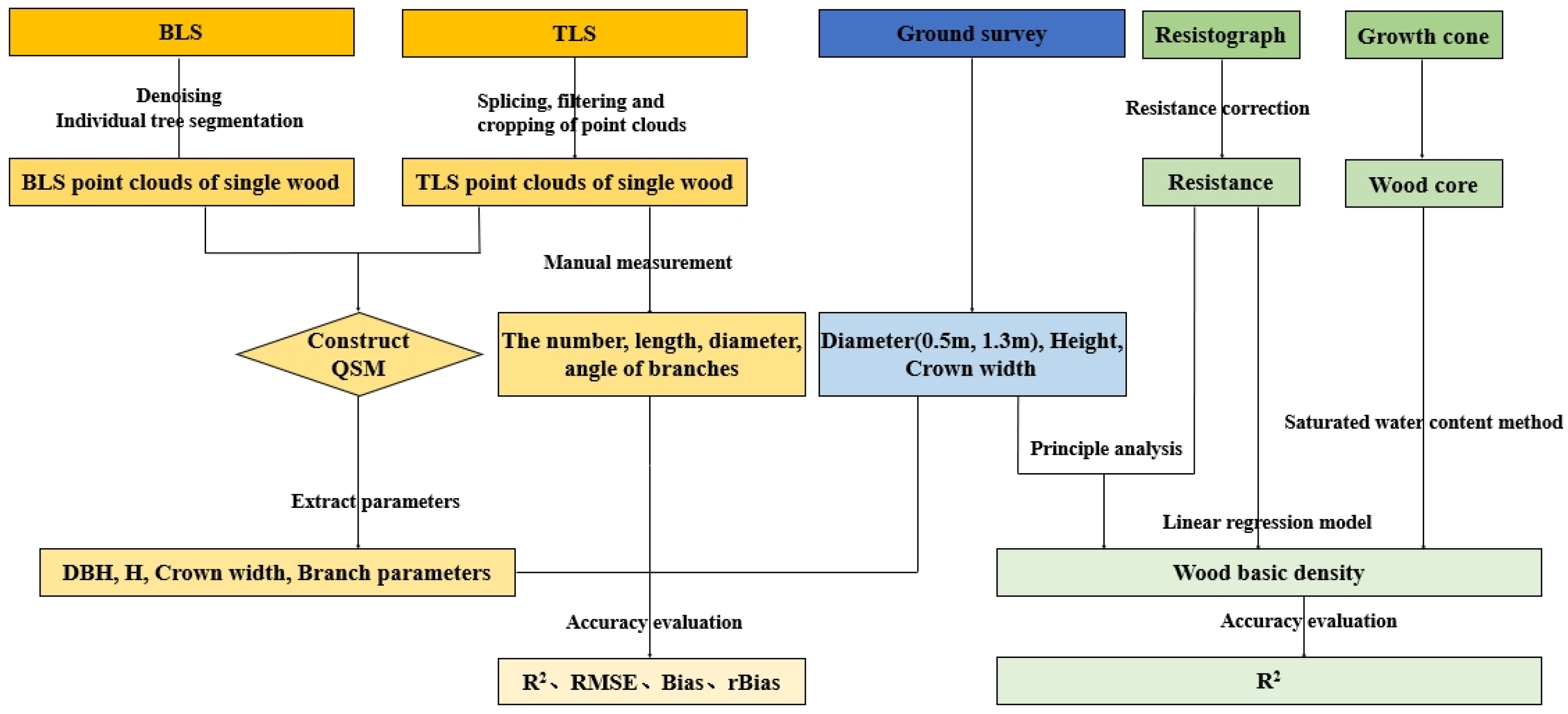 Estimation of Individual Tree Structure and Wood Density