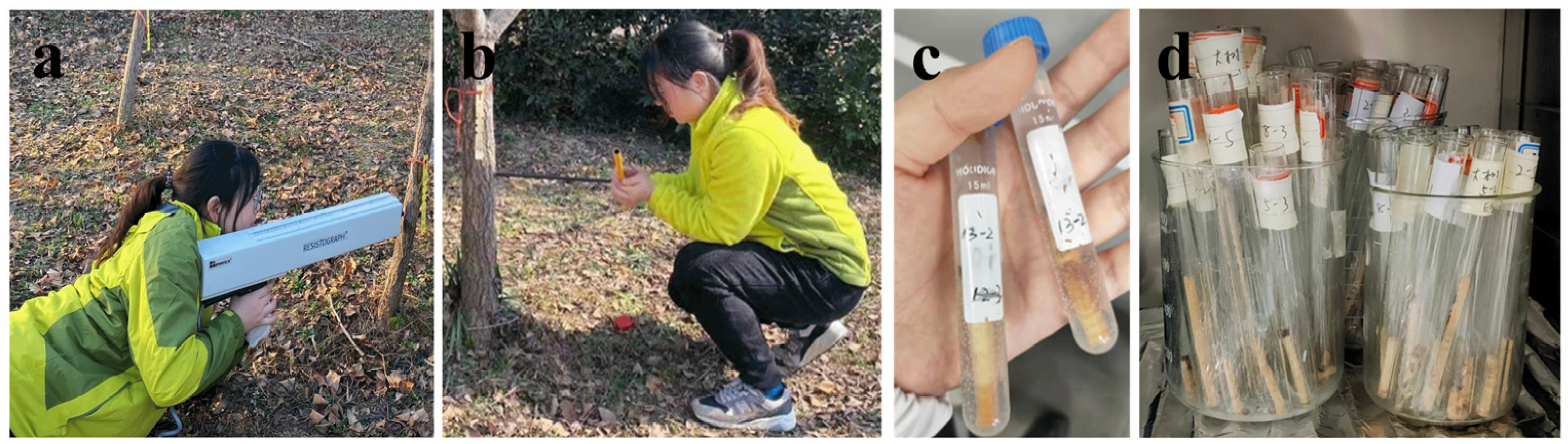 Remotesensing 17 00099 g003