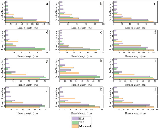 Estimation of Individual Tree Structure and Wood Density