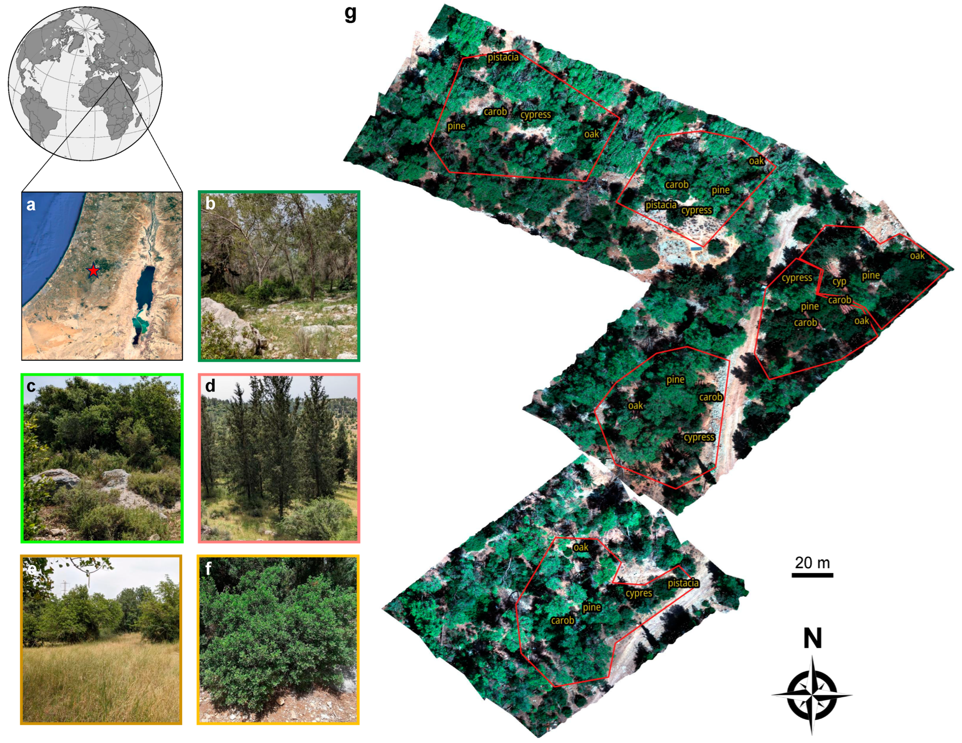 Remotesensing 17 00106 g001