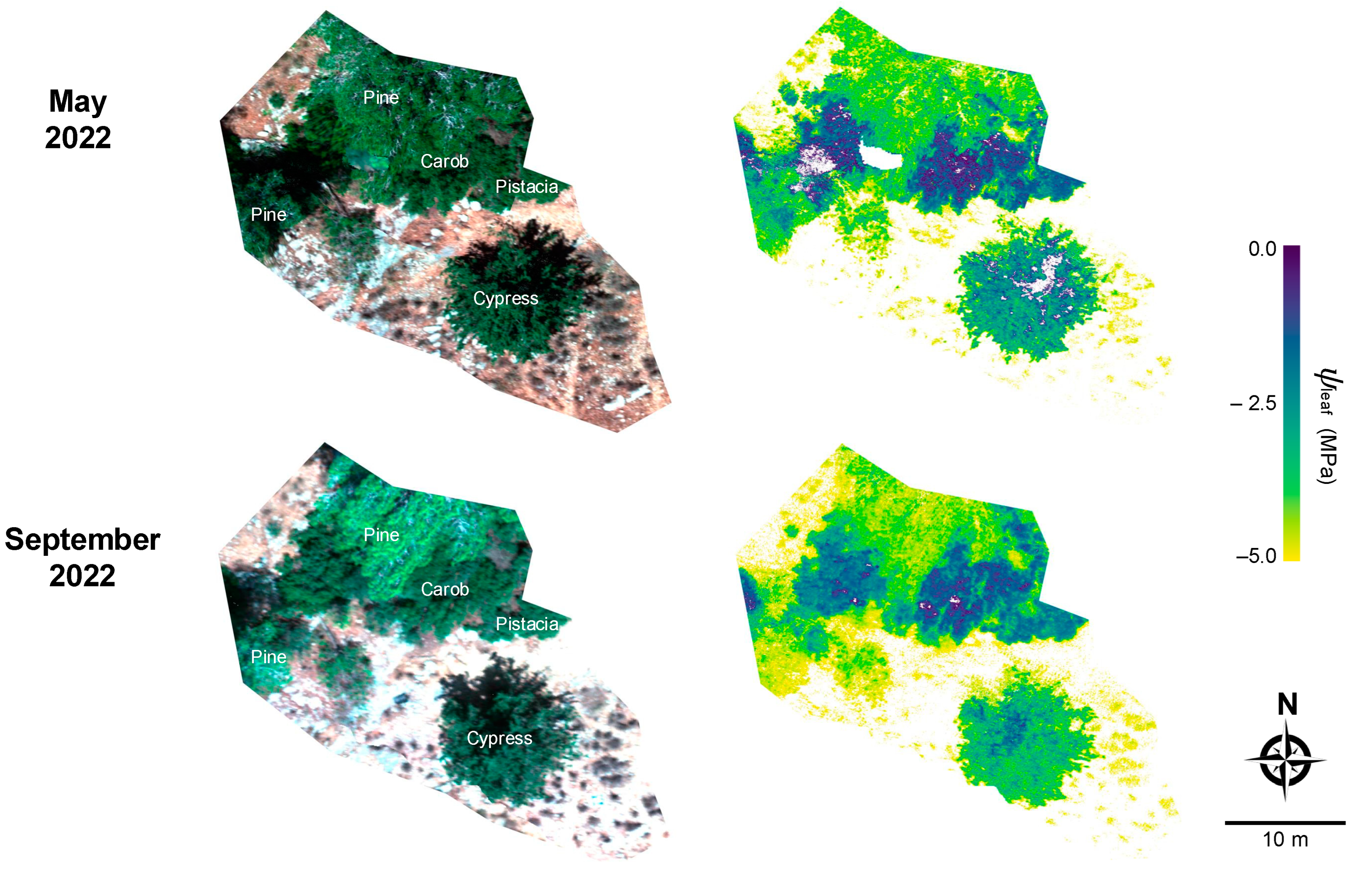 Remotesensing 17 00106 g010