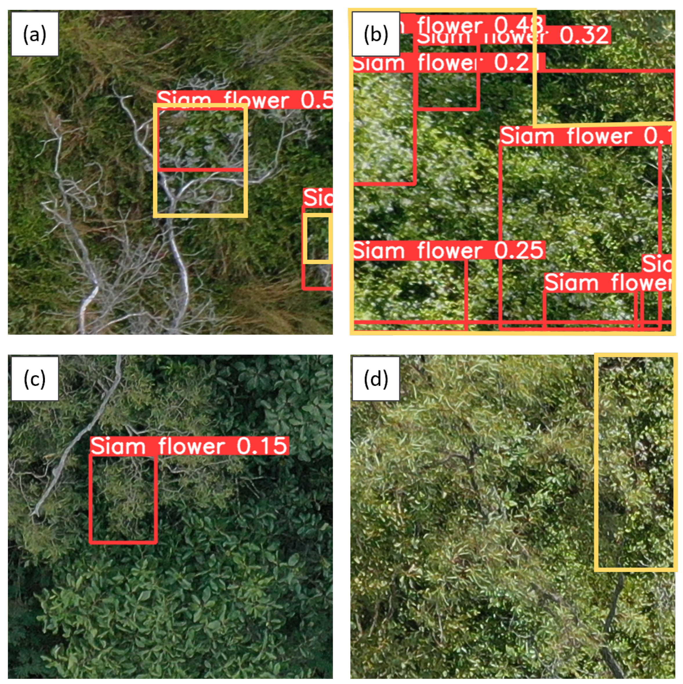 Remotesensing 17 00120 g004