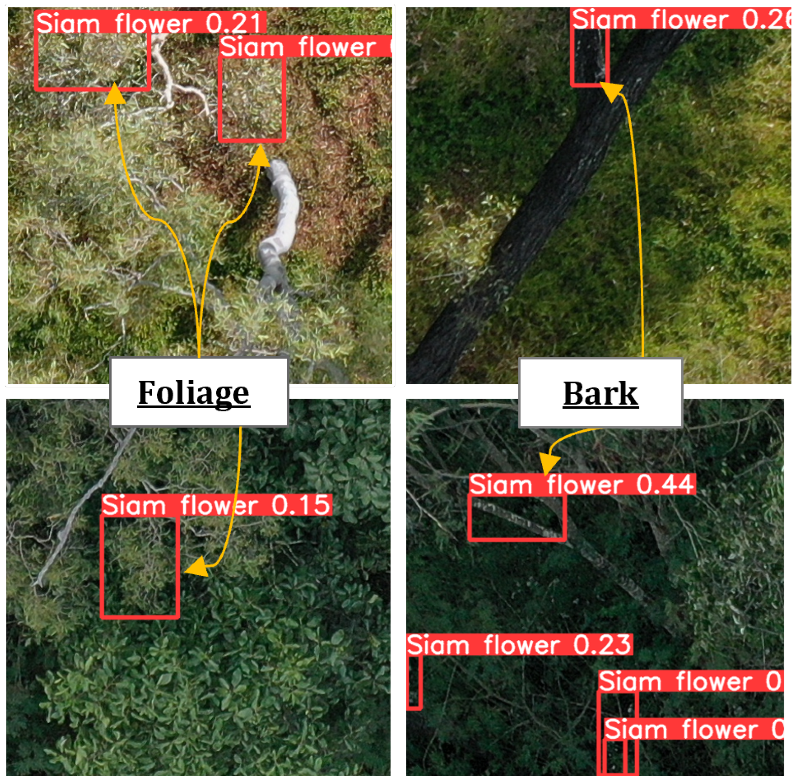 Remotesensing 17 00120 g007