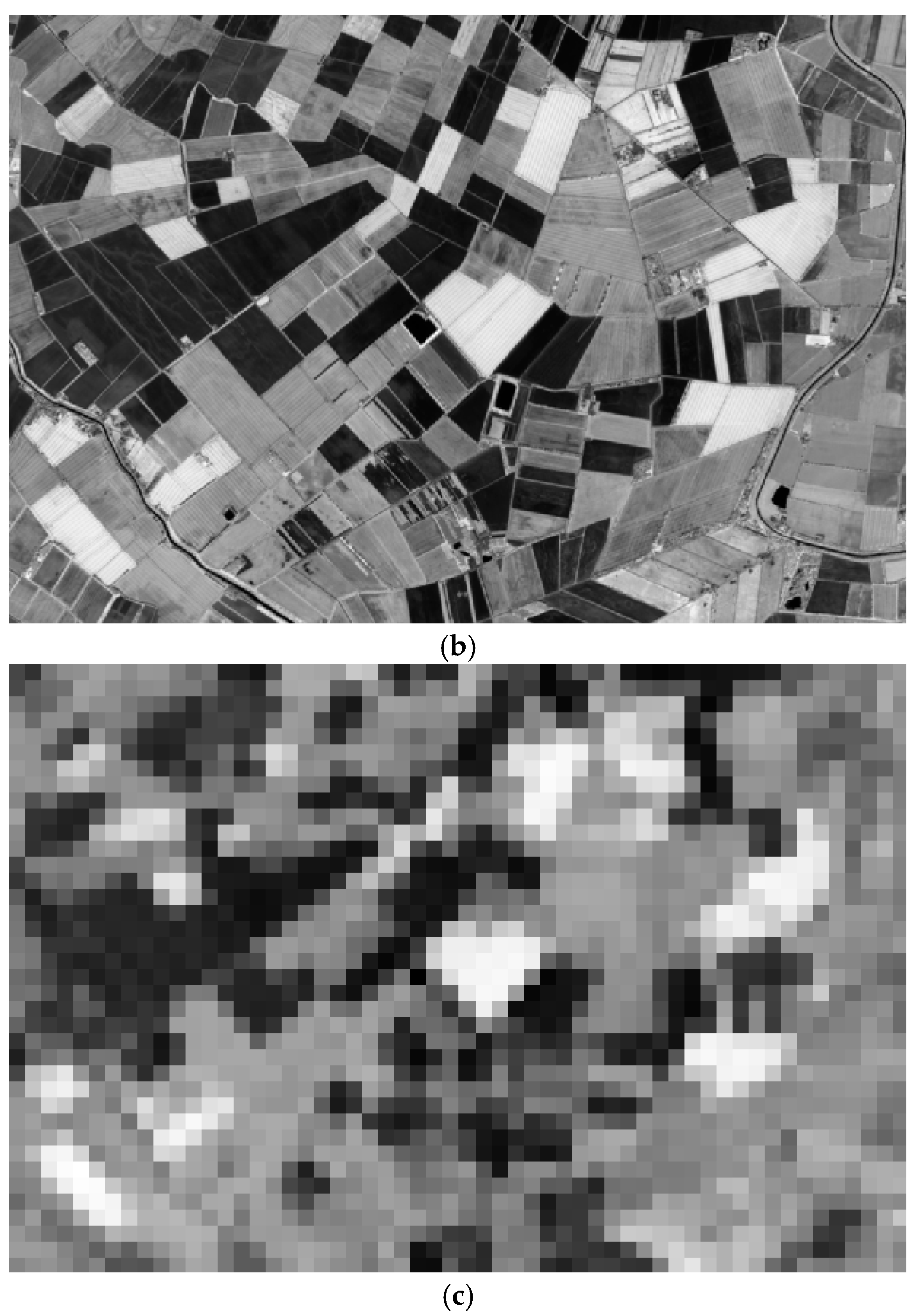 Remotesensing 17 00130 g002b