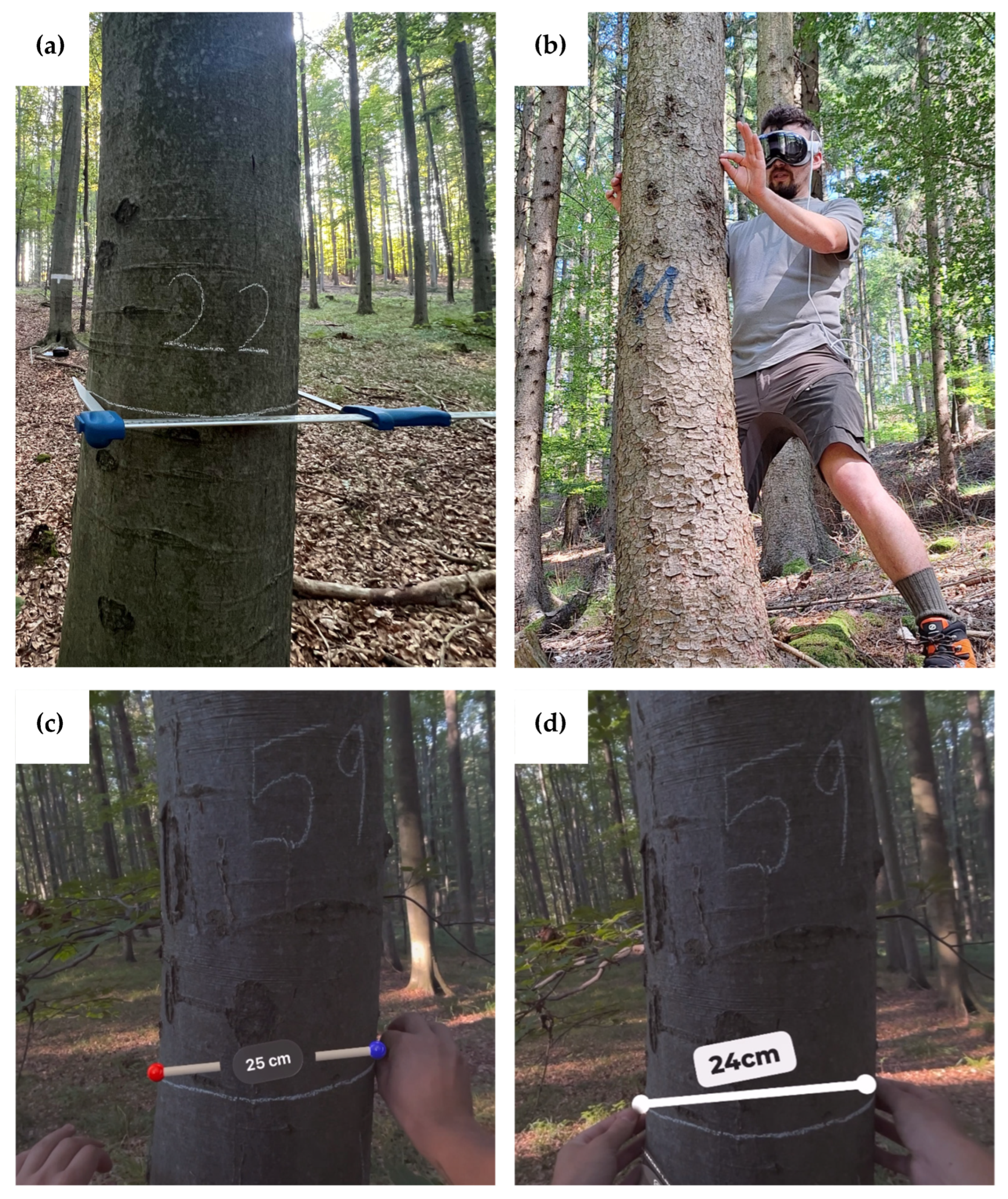 Remotesensing 17 00141 g001