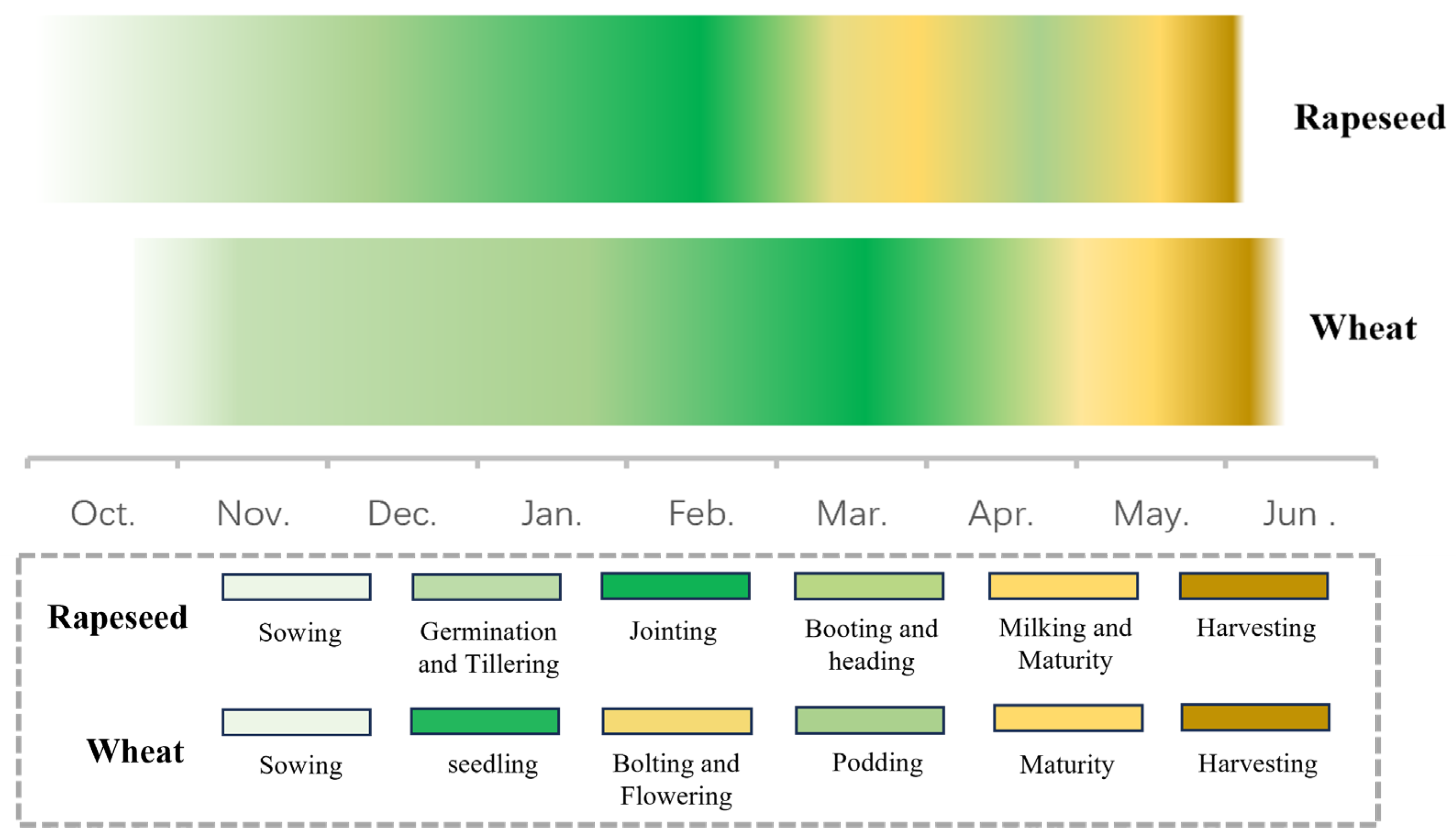 Remotesensing 17 00148 g002