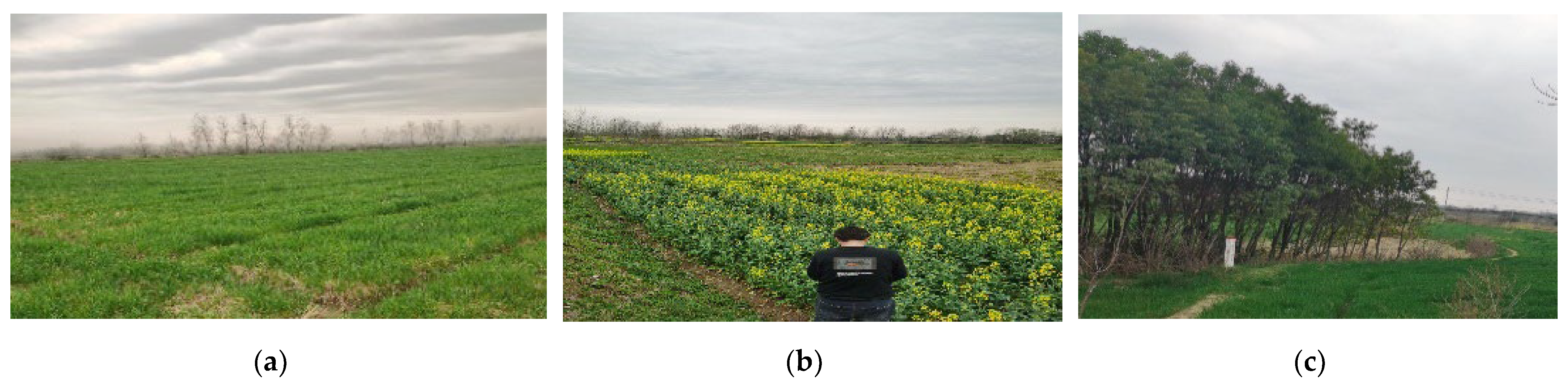 Remotesensing 17 00148 g004