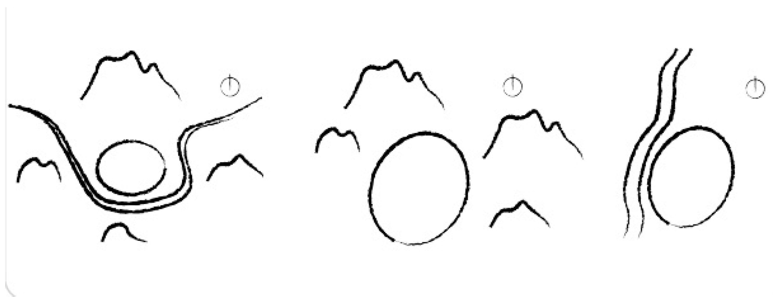 Remotesensing 17 00161 g012