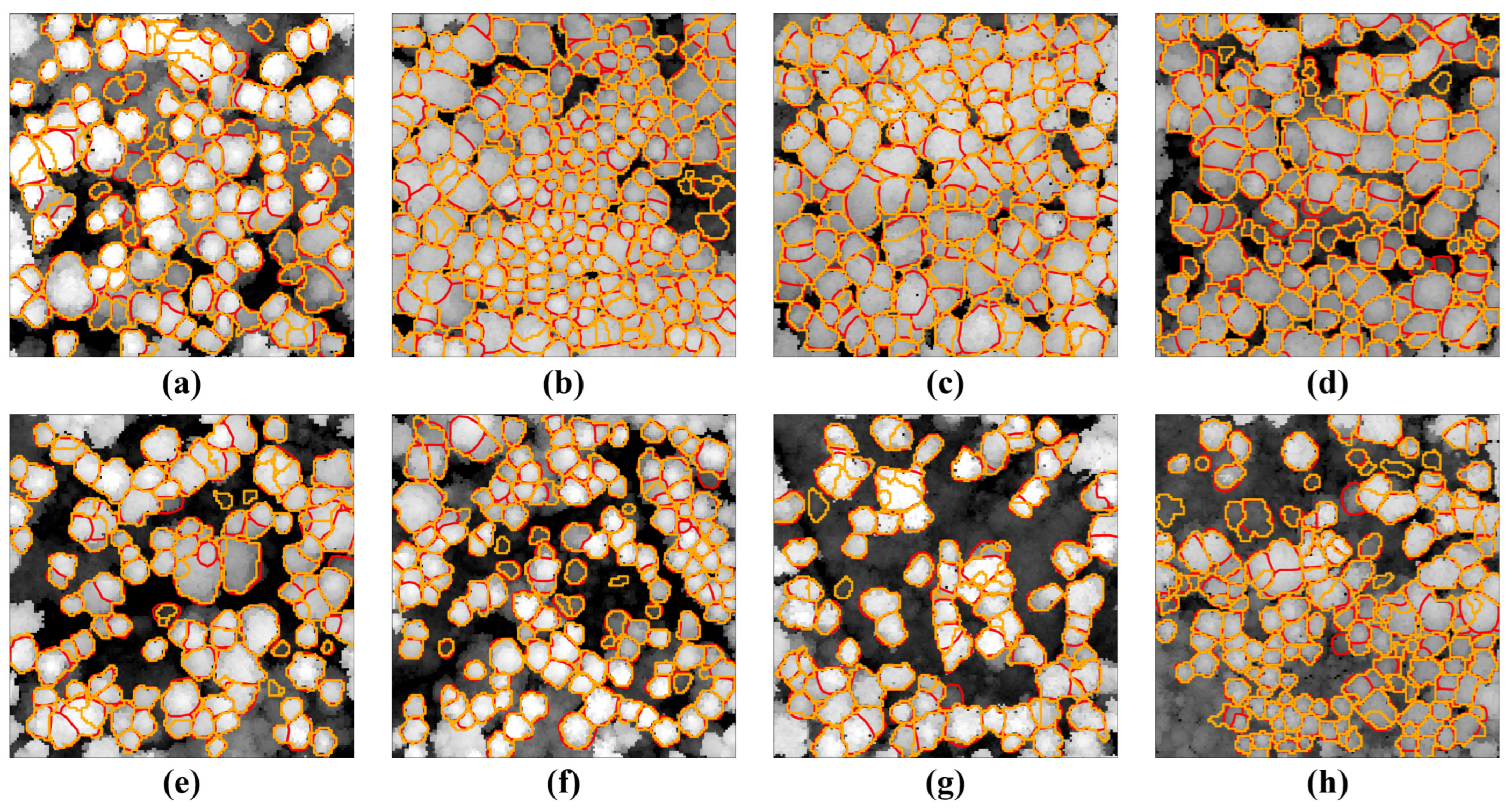 Remotesensing 17 00196 g005