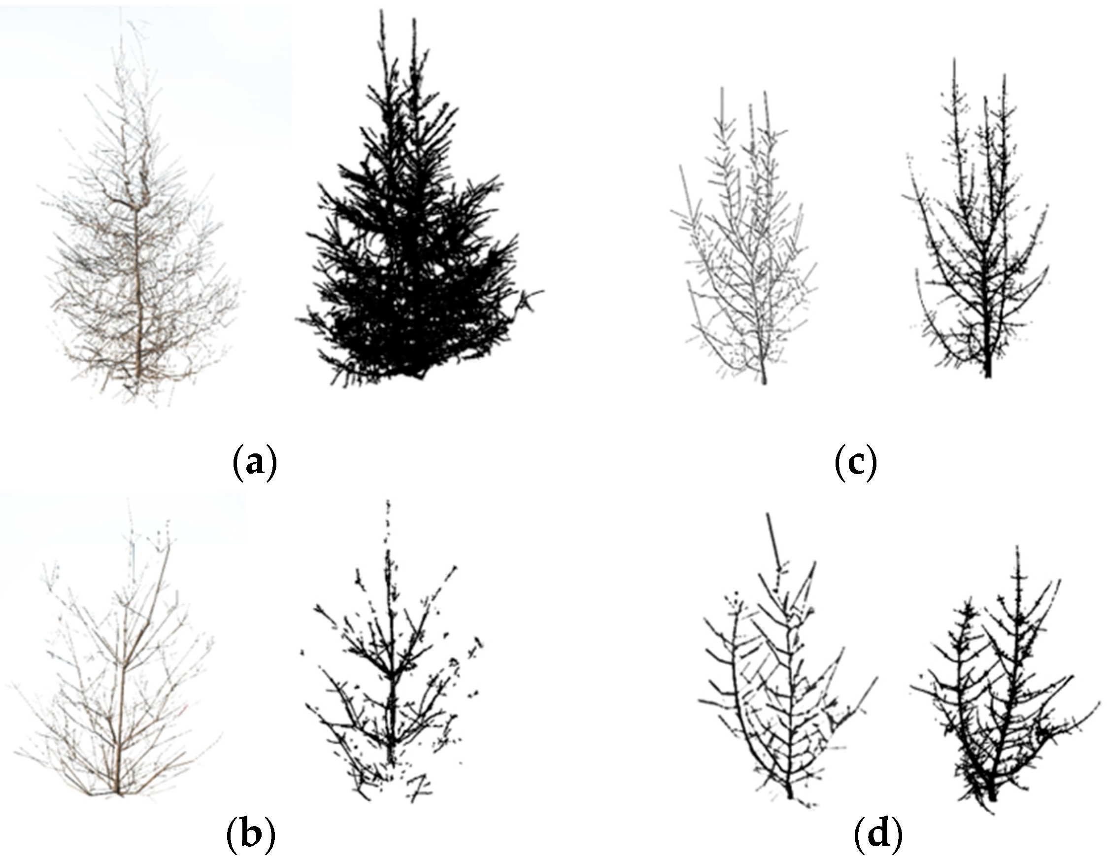 Remotesensing 17 00202 g012 Remotesensing 17 00202 g012