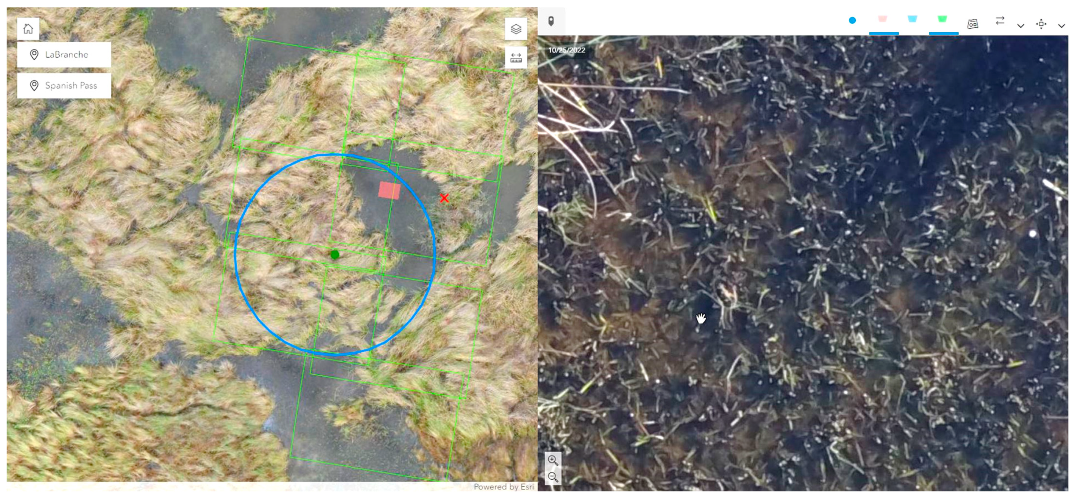 Remotesensing 17 00223 g011