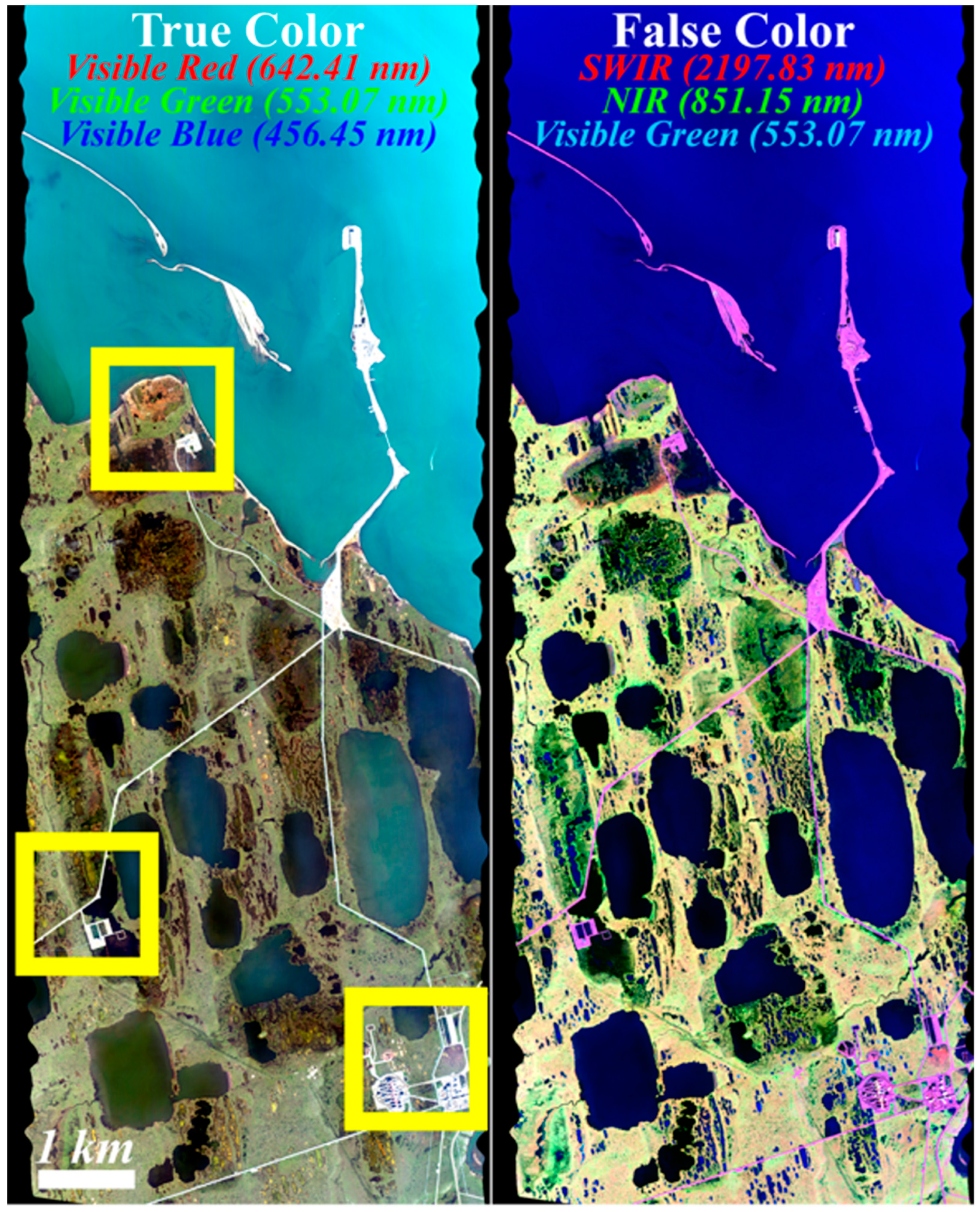 Remotesensing 17 00244 g002