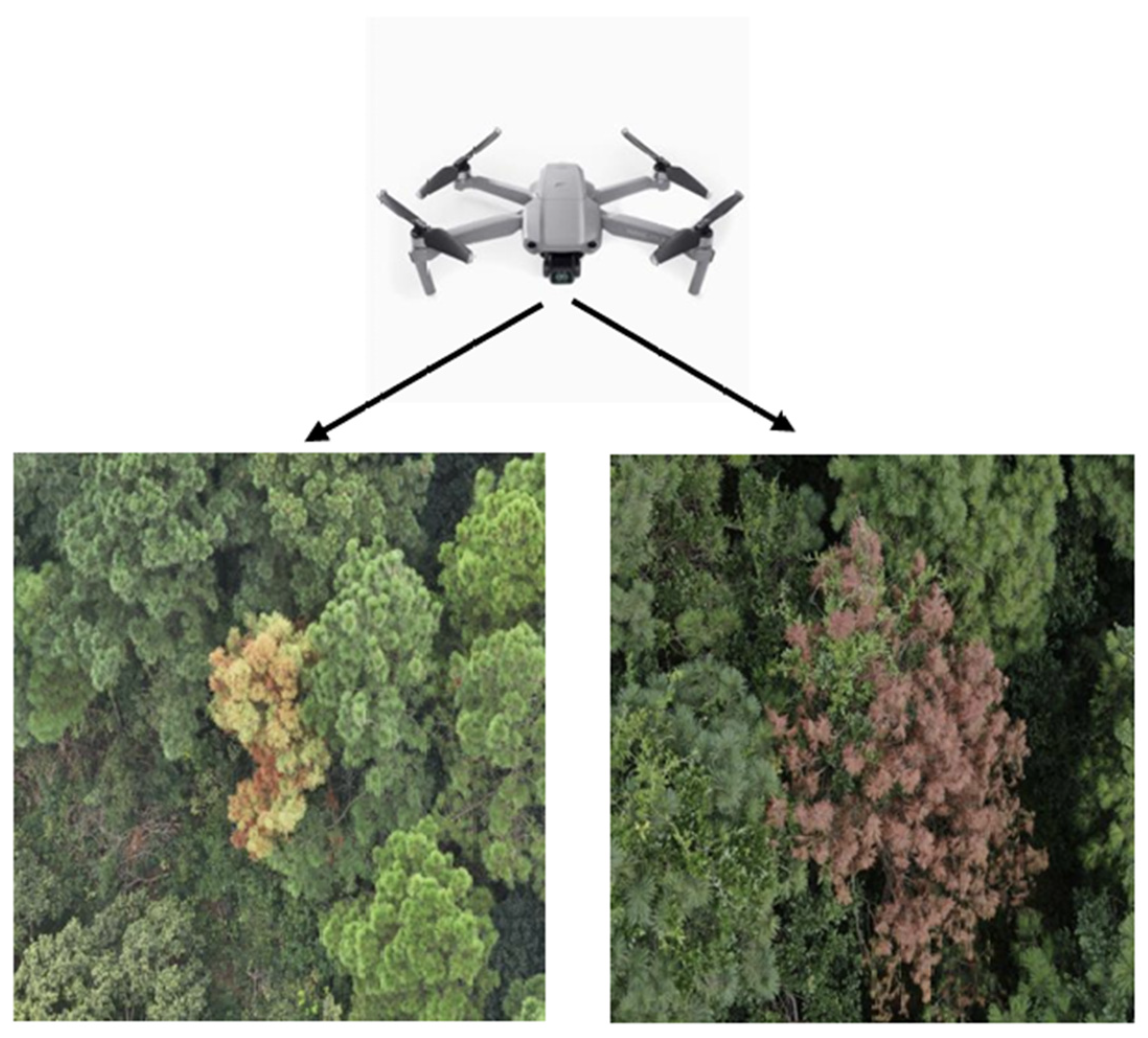 Remotesensing 17 00255 g002 Remotesensing 17 00255 g002