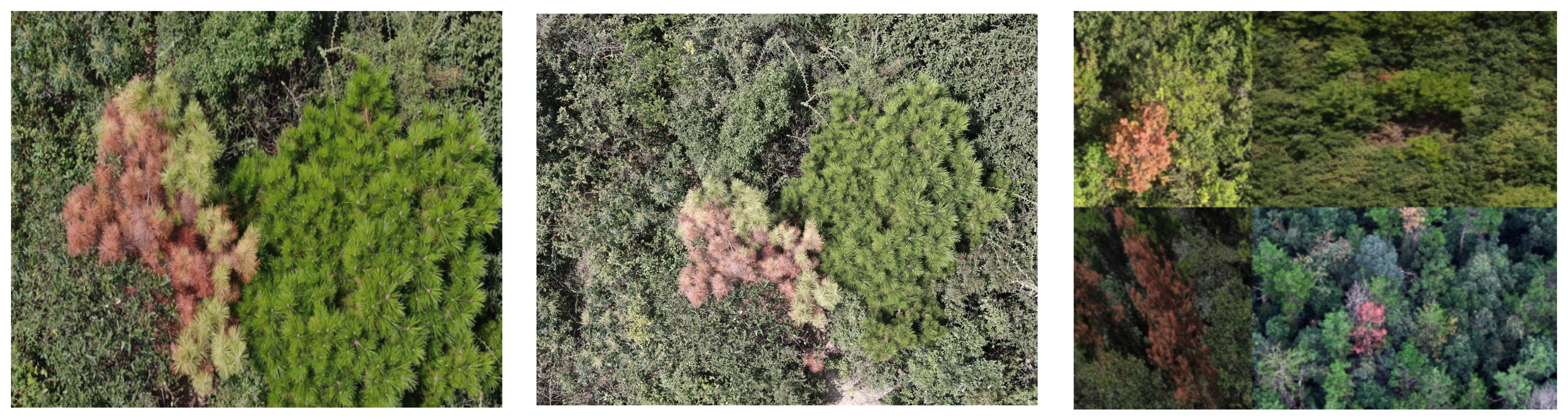 Remotesensing 17 00255 g003 Remotesensing 17 00255 g003