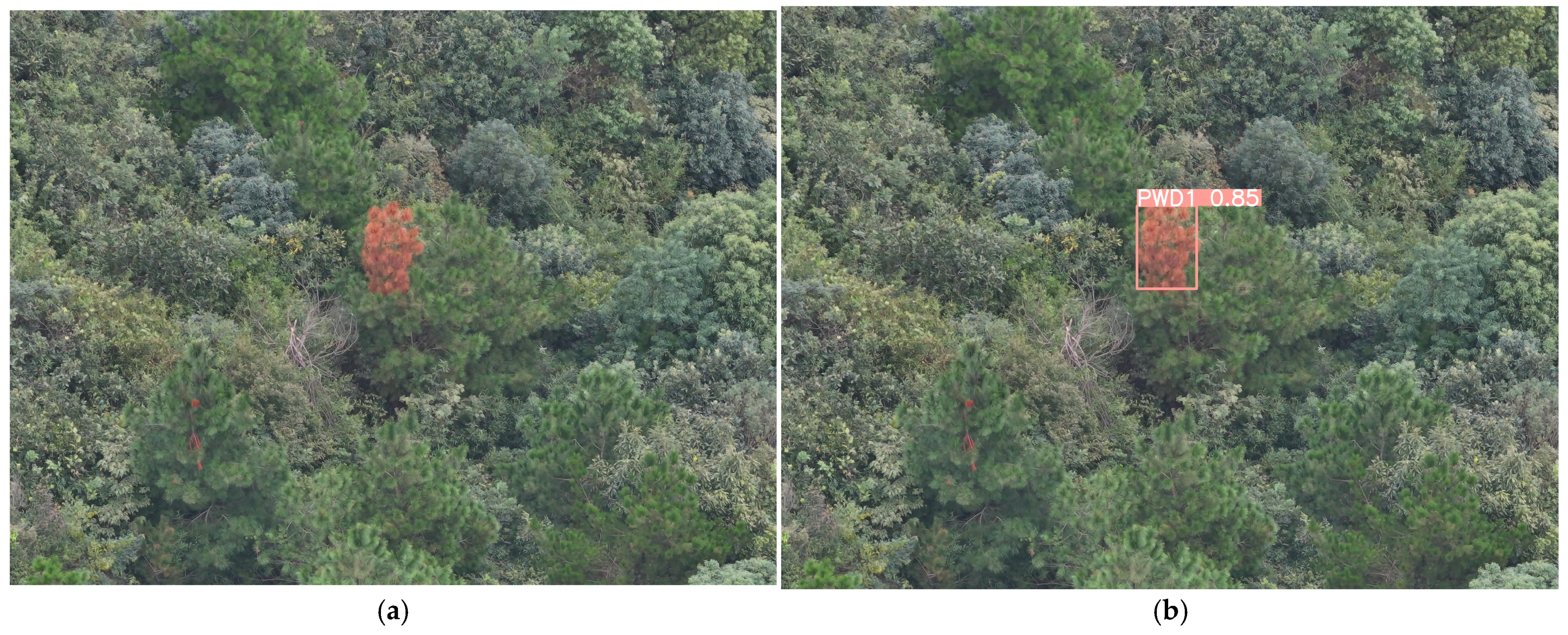 Remotesensing 17 00255 g014a Remotesensing 17 00255 g014a