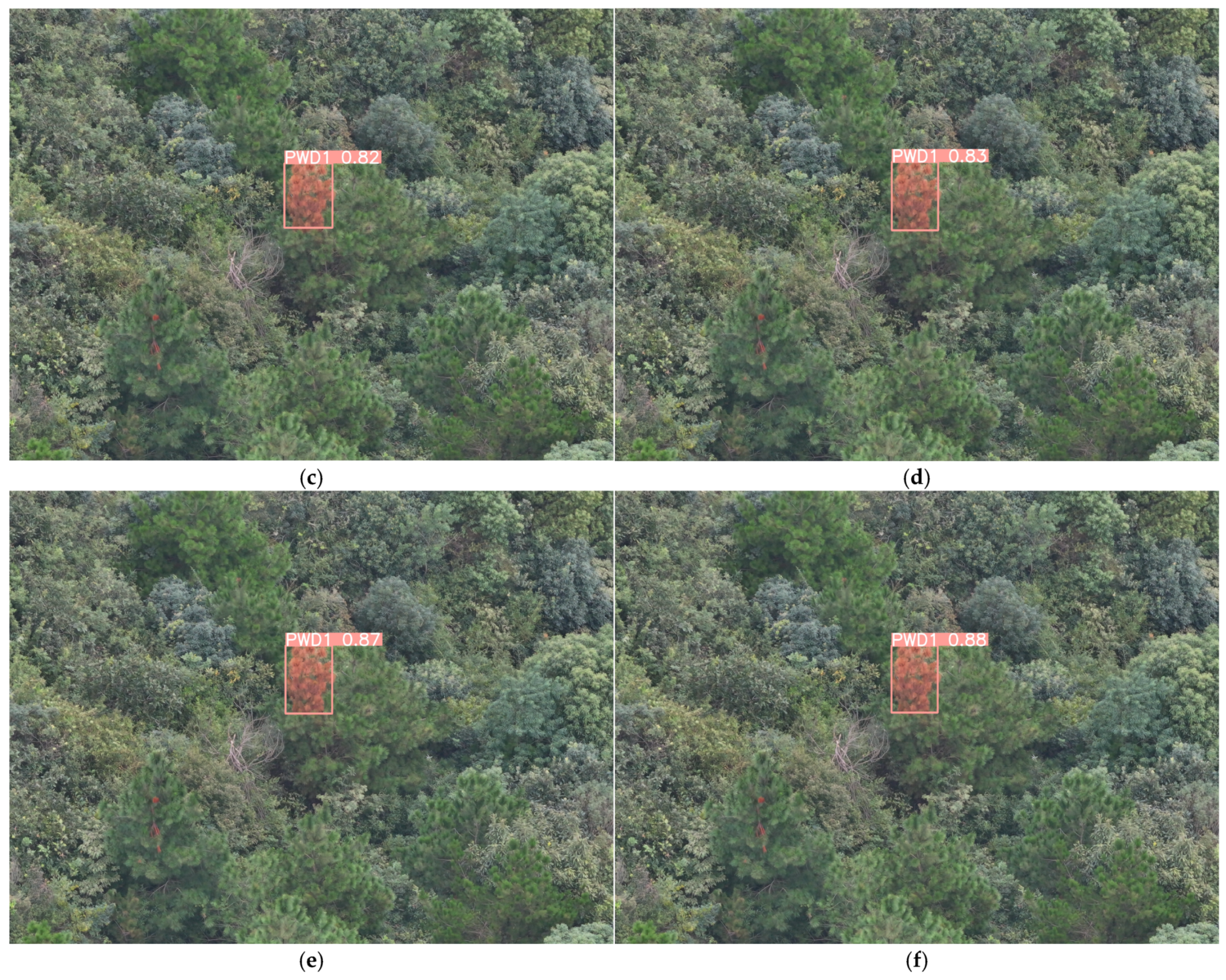 Remotesensing 17 00255 g014b Remotesensing 17 00255 g014b