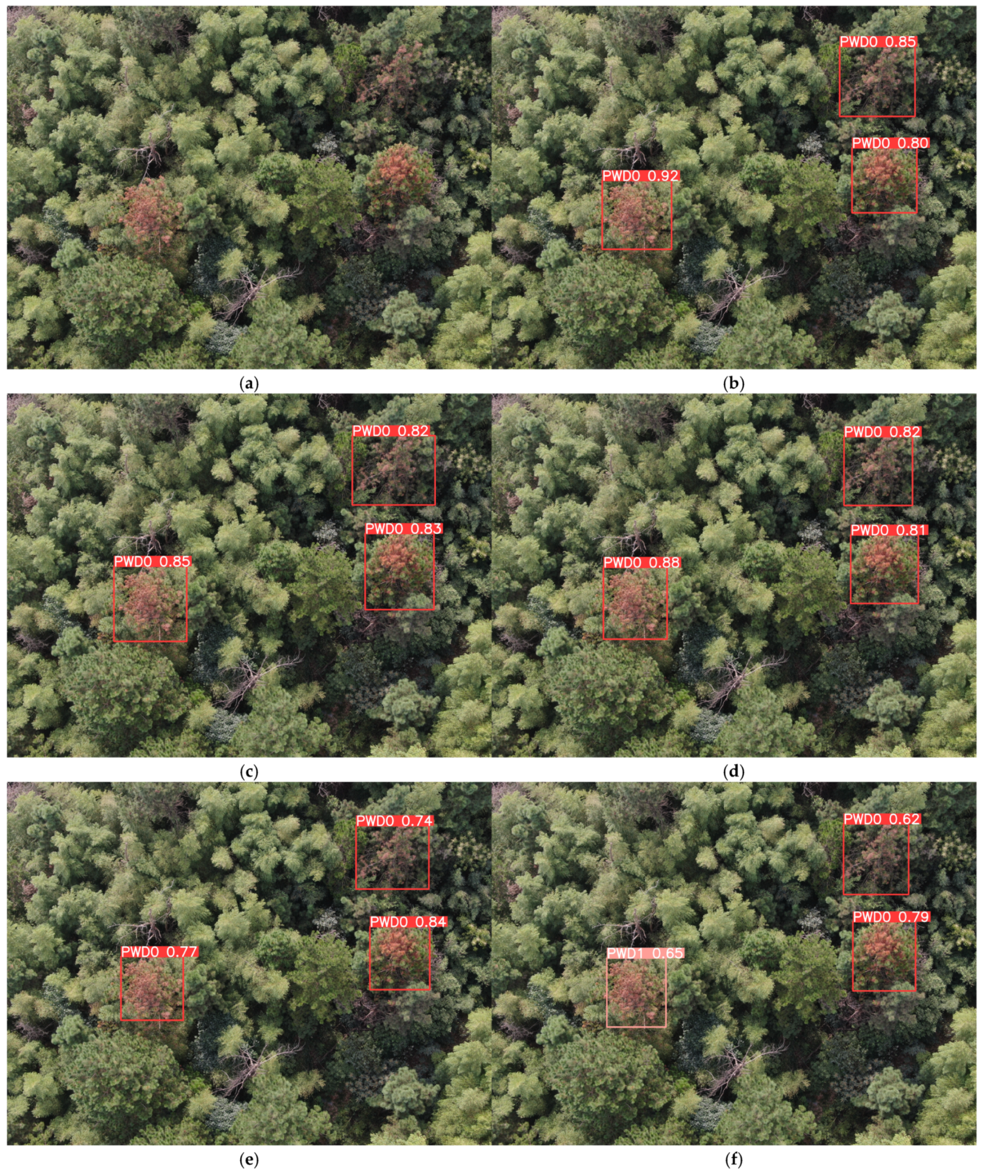 Remotesensing 17 00255 g015a Remotesensing 17 00255 g015a