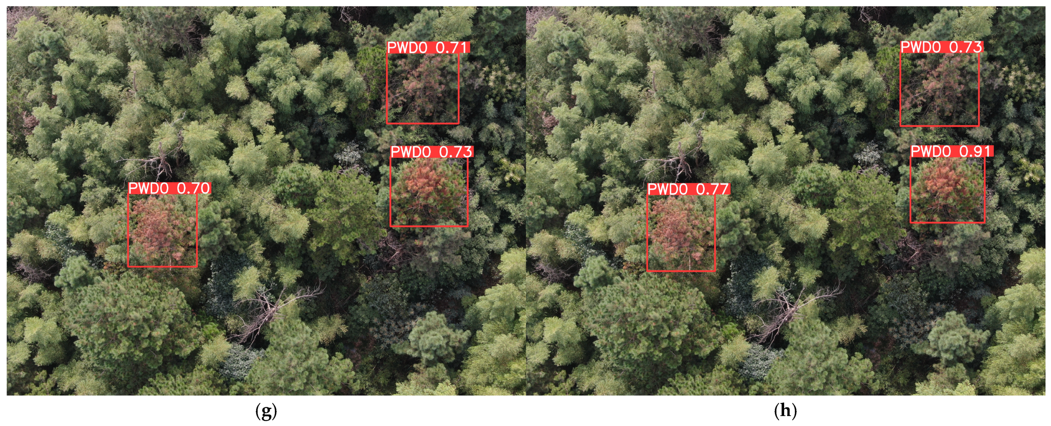 Remotesensing 17 00255 g015b Remotesensing 17 00255 g015b