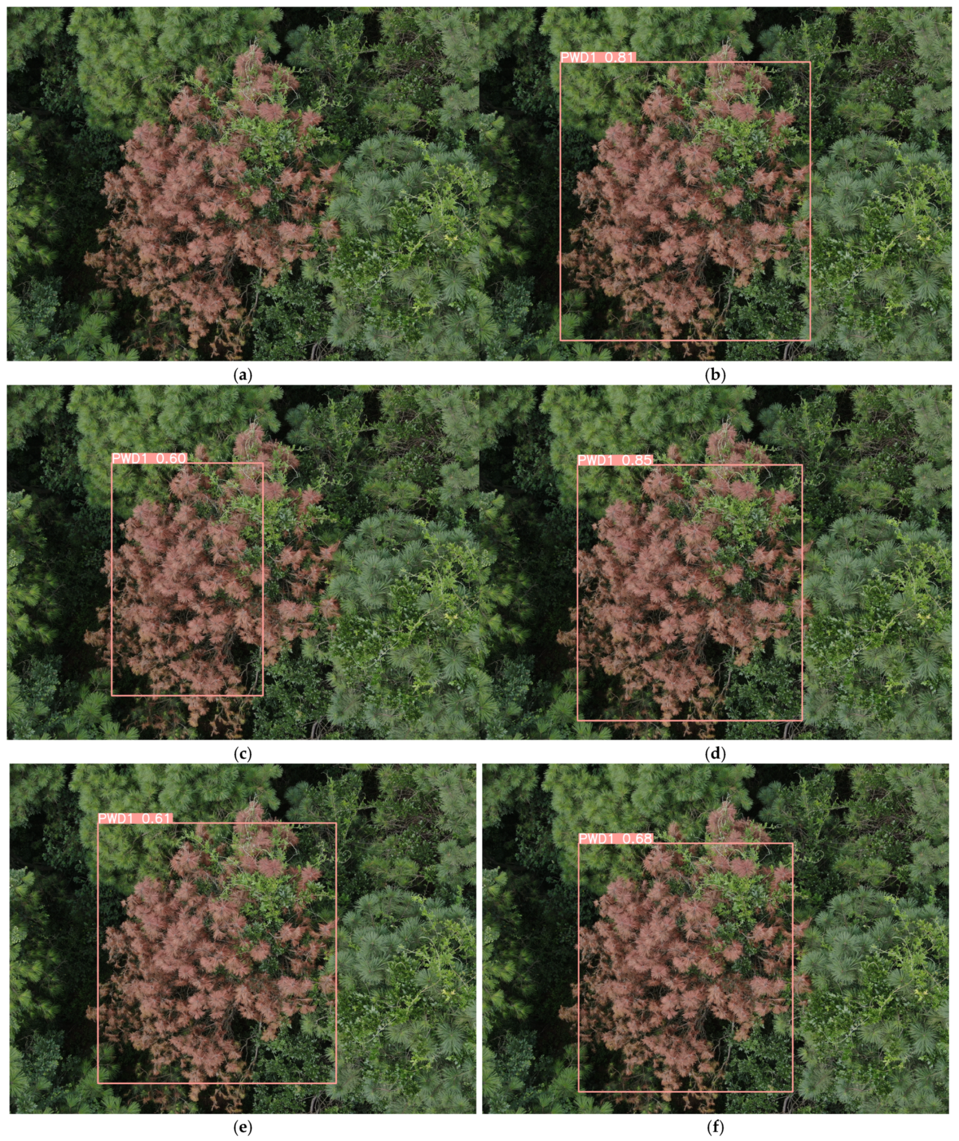 Remotesensing 17 00255 g016a Remotesensing 17 00255 g016a