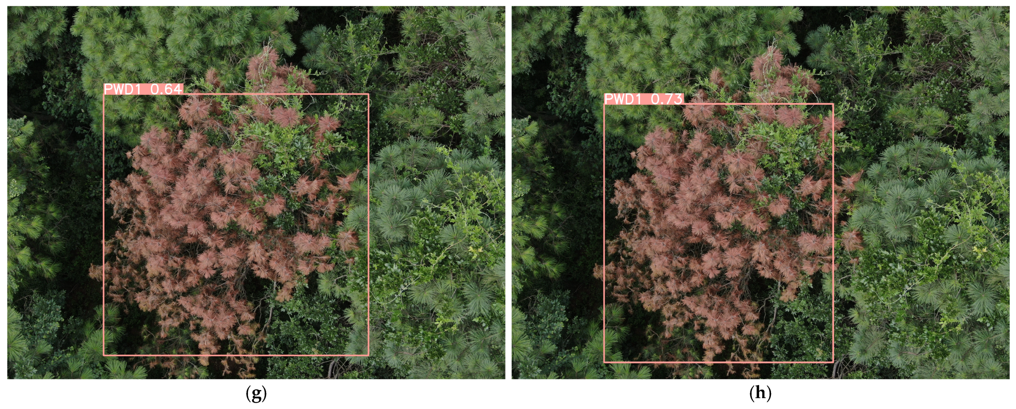 Remotesensing 17 00255 g016b Remotesensing 17 00255 g016b