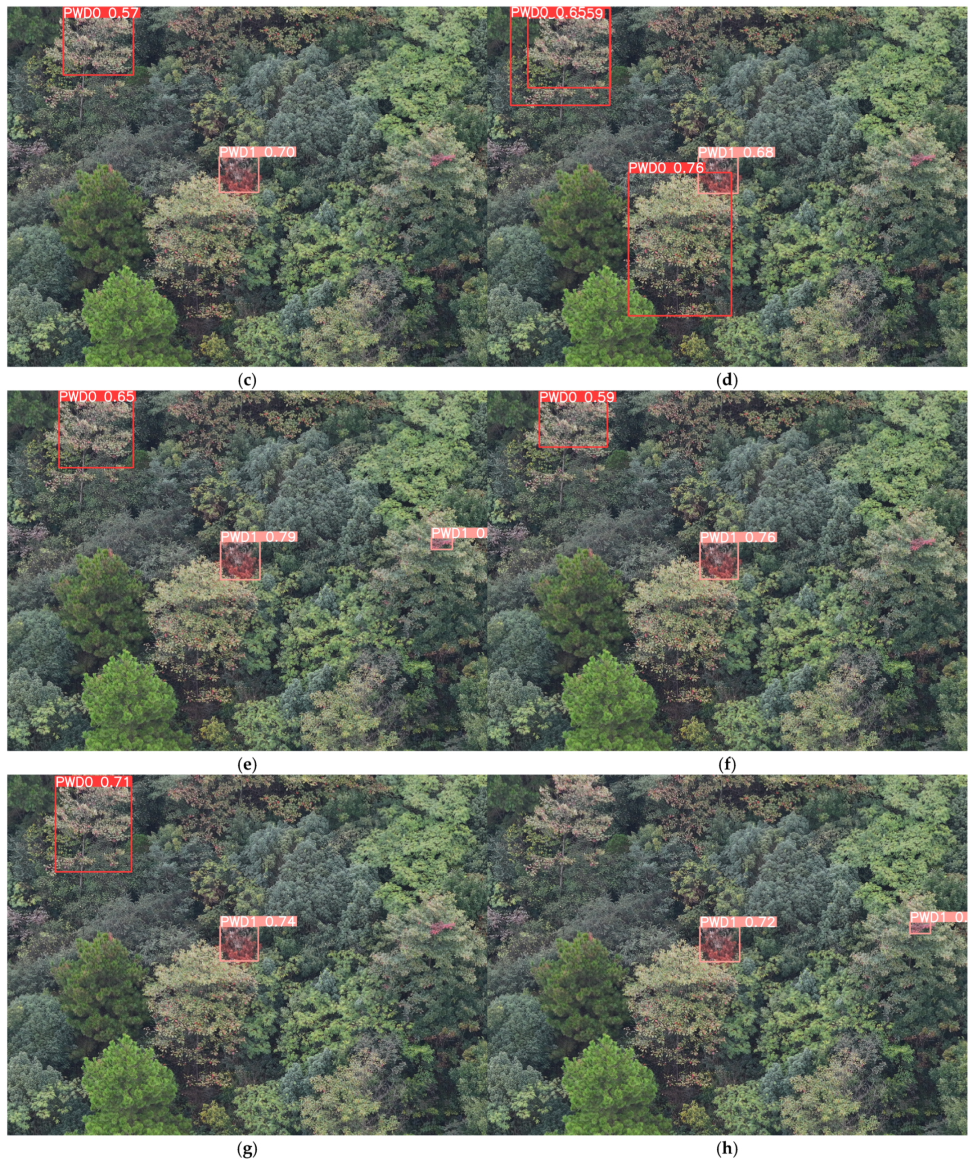 Remotesensing 17 00255 g017b Remotesensing 17 00255 g017b