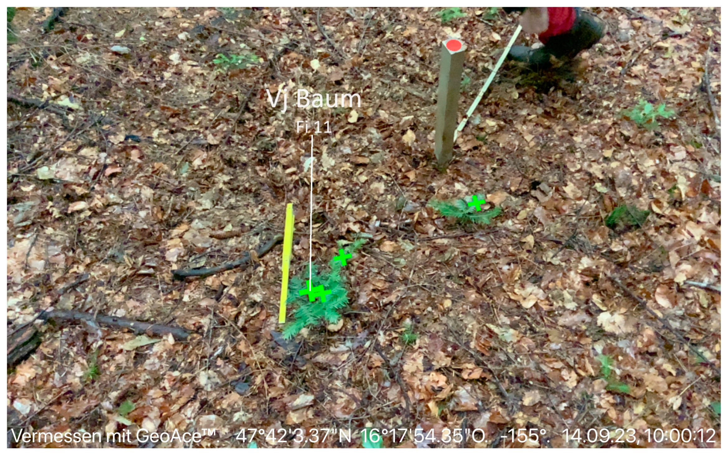 Remotesensing 17 00269 g002