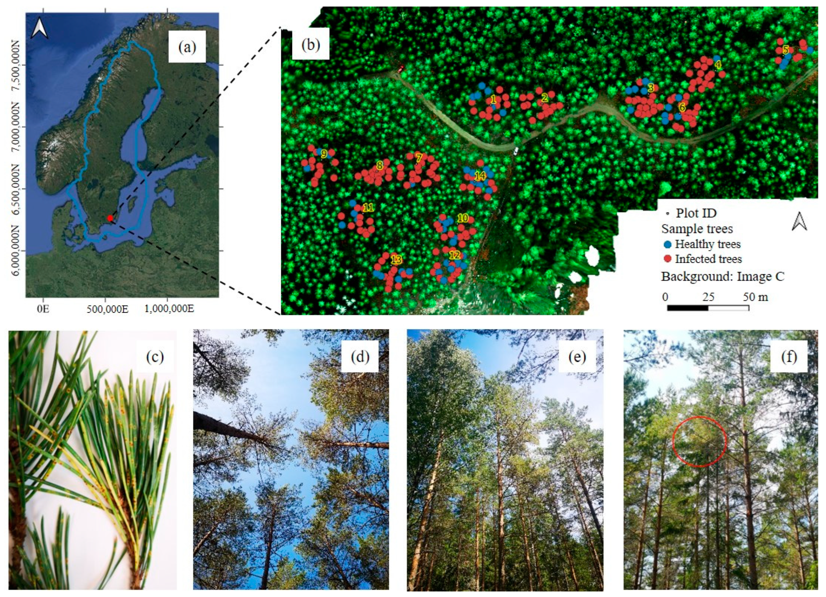Remotesensing 17 00271 g001