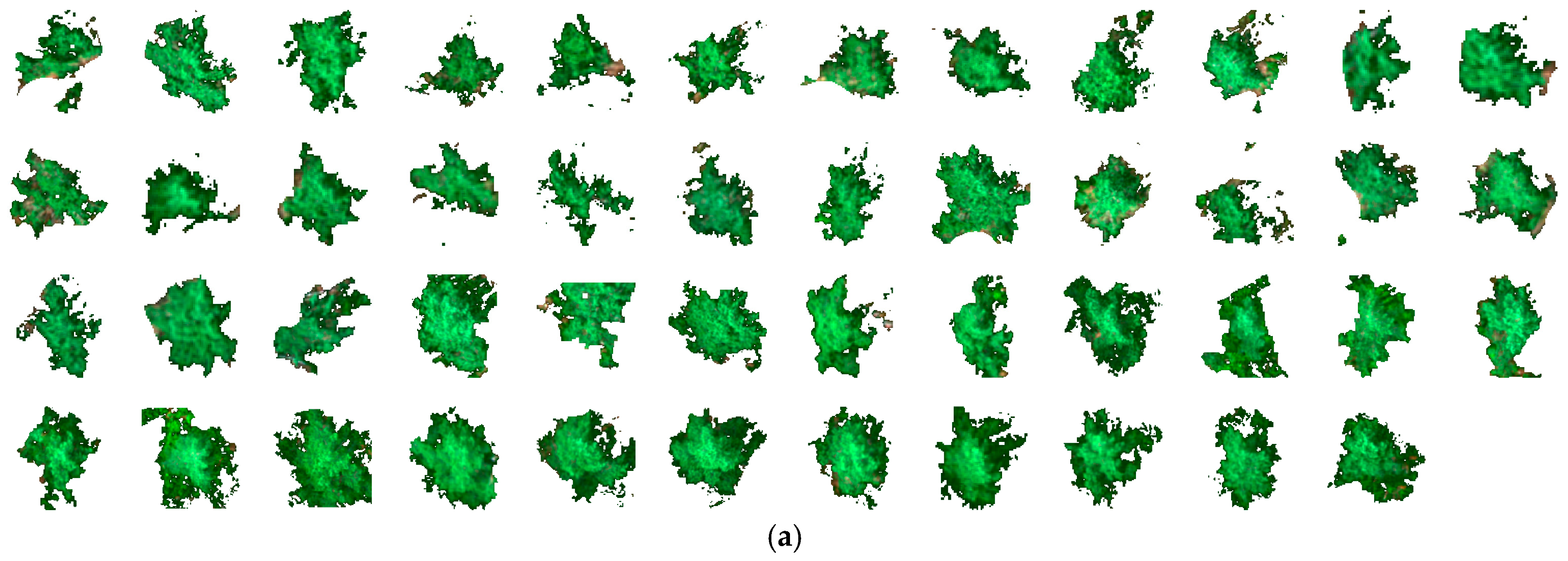 Remotesensing 17 00271 g0a1a