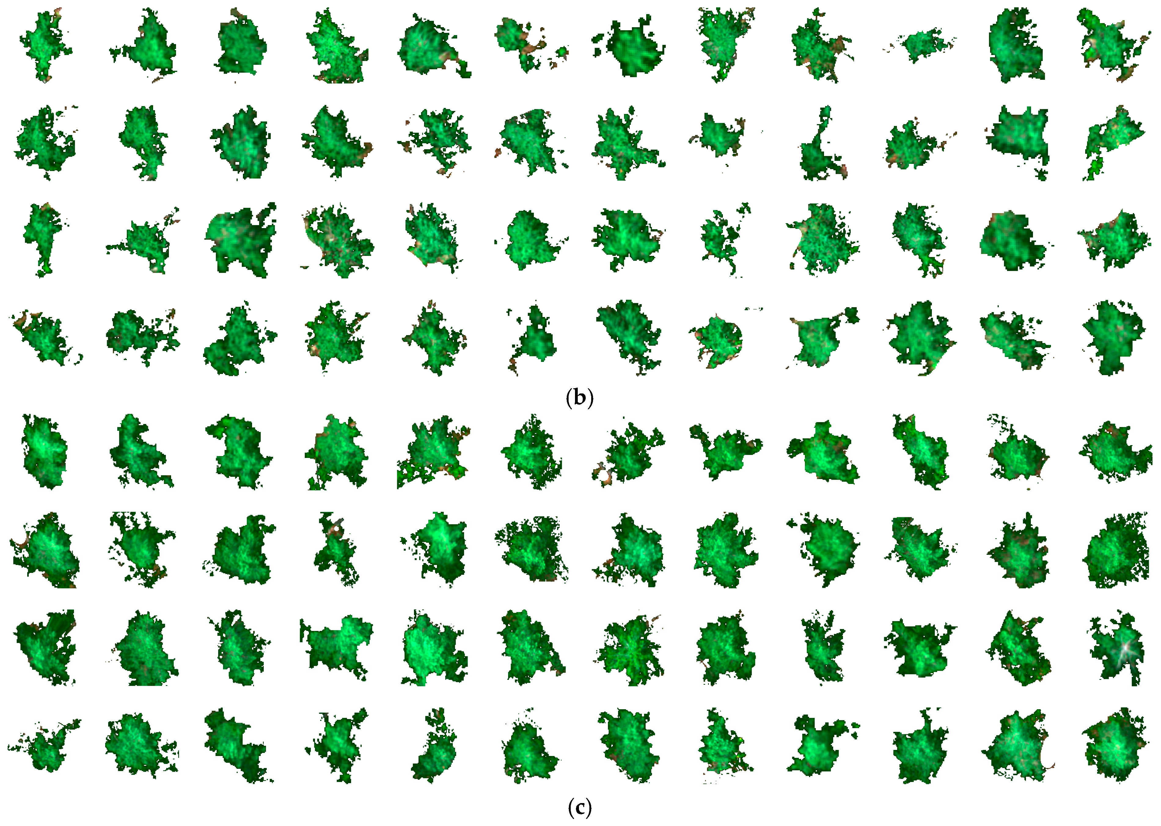 Remotesensing 17 00271 g0a1b