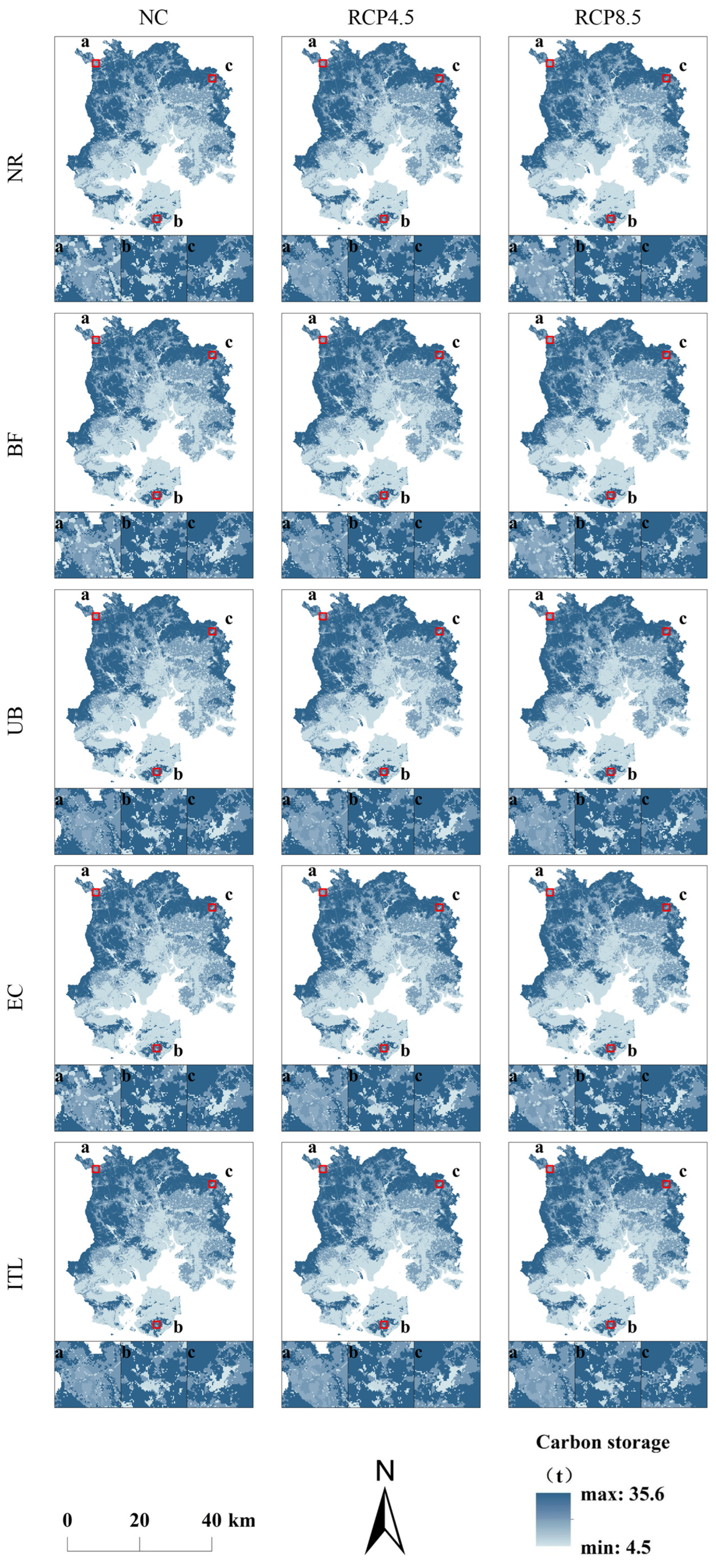 Remotesensing 17 00273 g005