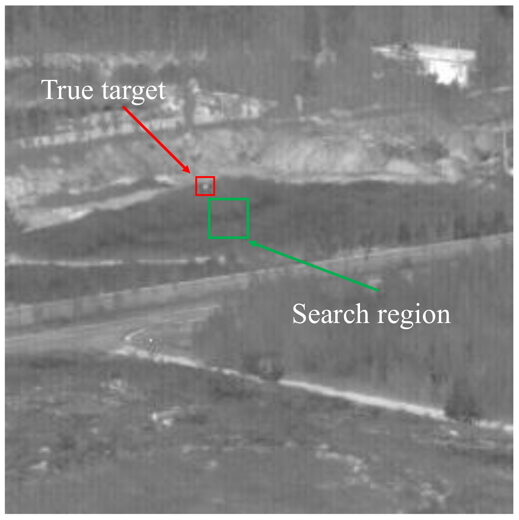 Remotesensing 17 00323 g013