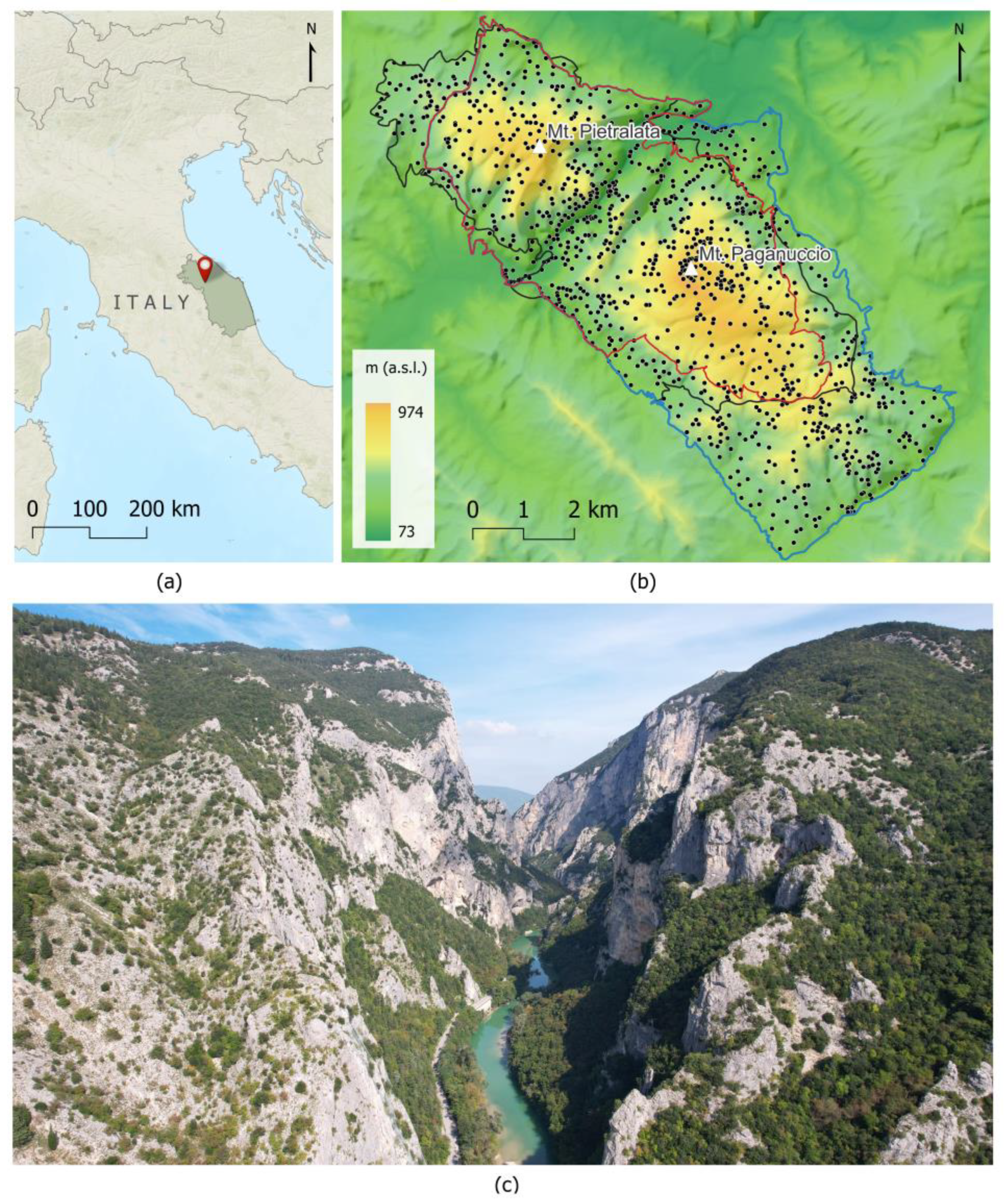 Remotesensing 17 00330 g002