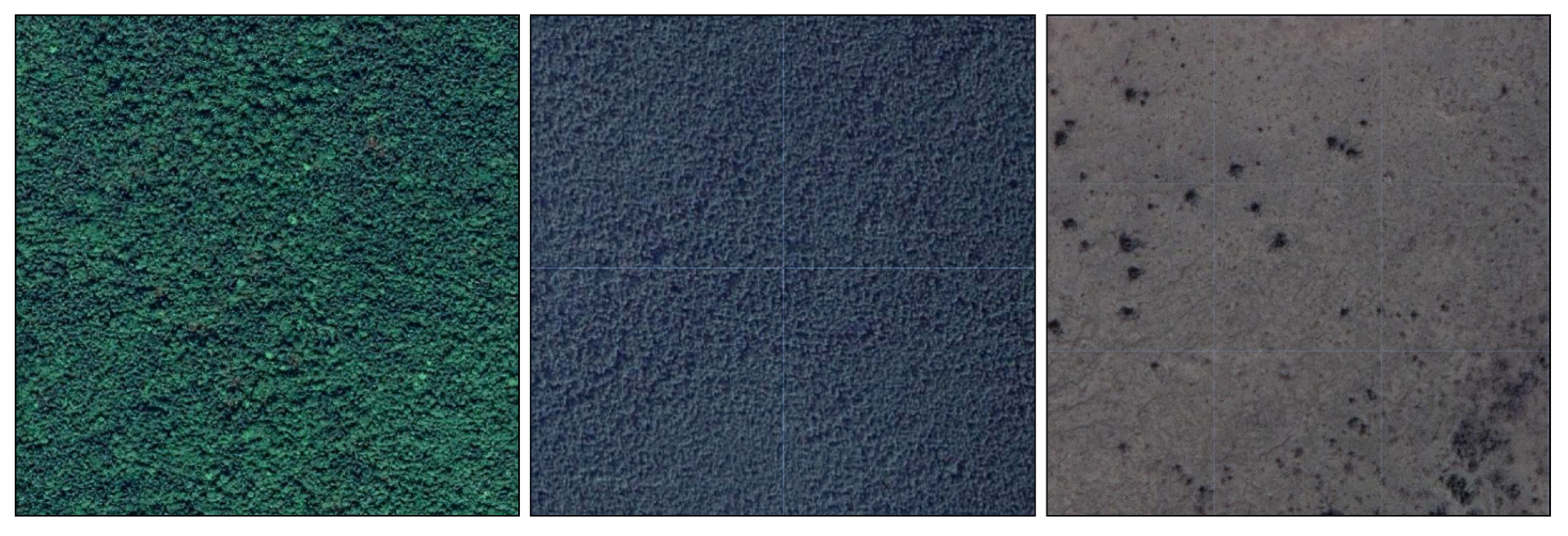 Remotesensing 17 00358 g002