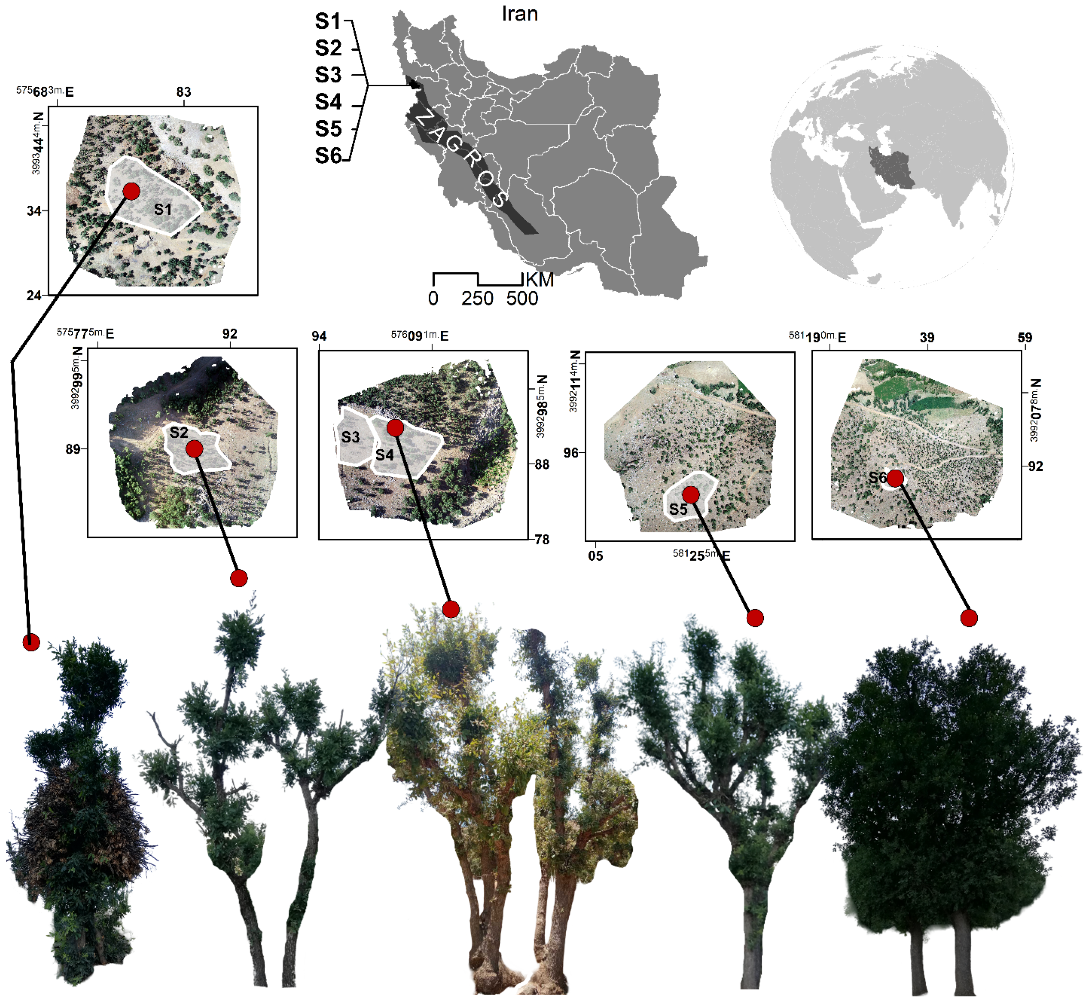 Remotesensing 17 00383 g001