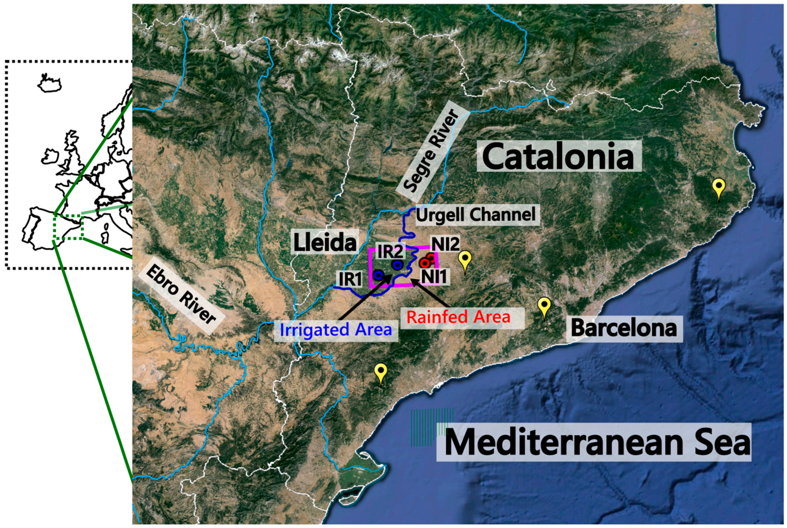 Remotesensing 17 00439 g001