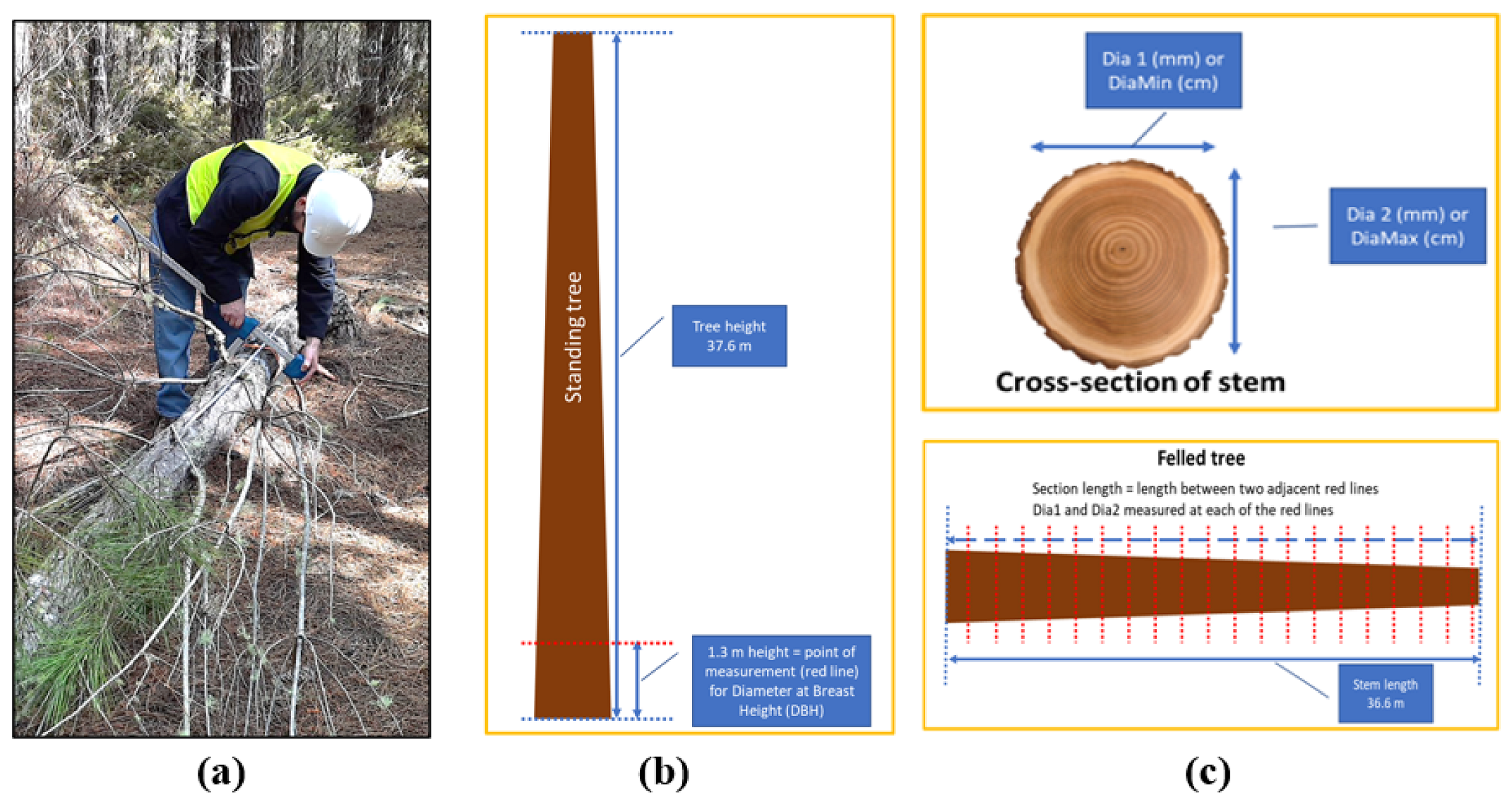 Remotesensing 17 00445 g003