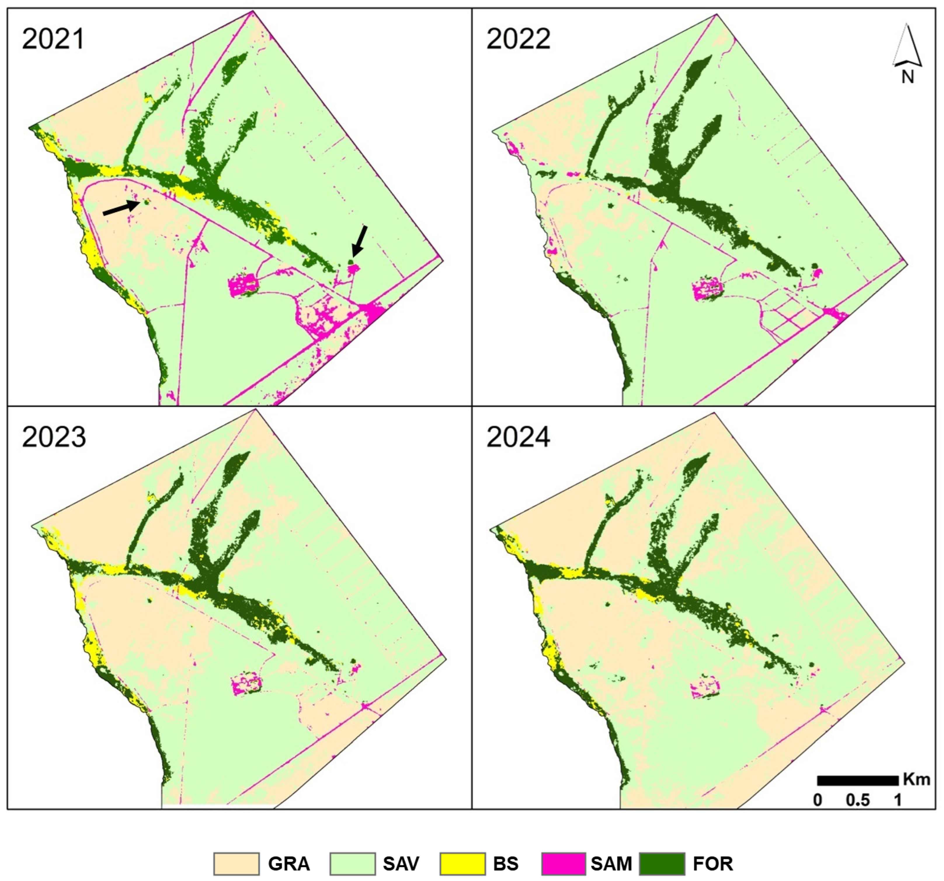 Remotesensing 17 00480 g005