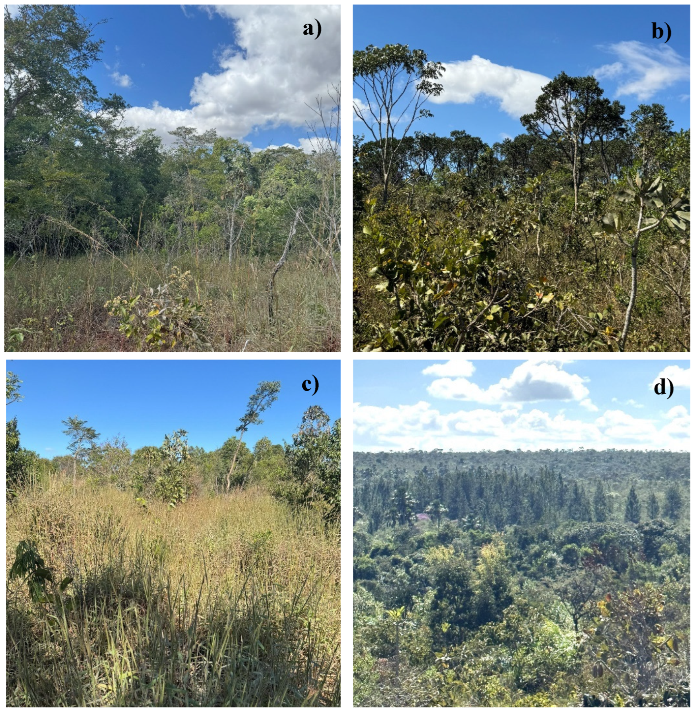 Remotesensing 17 00480 g008