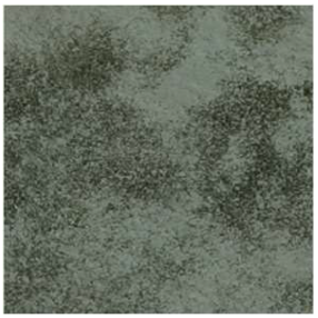 Remotesensing 17 00485 i002 Remotesensing 17 00485 i002