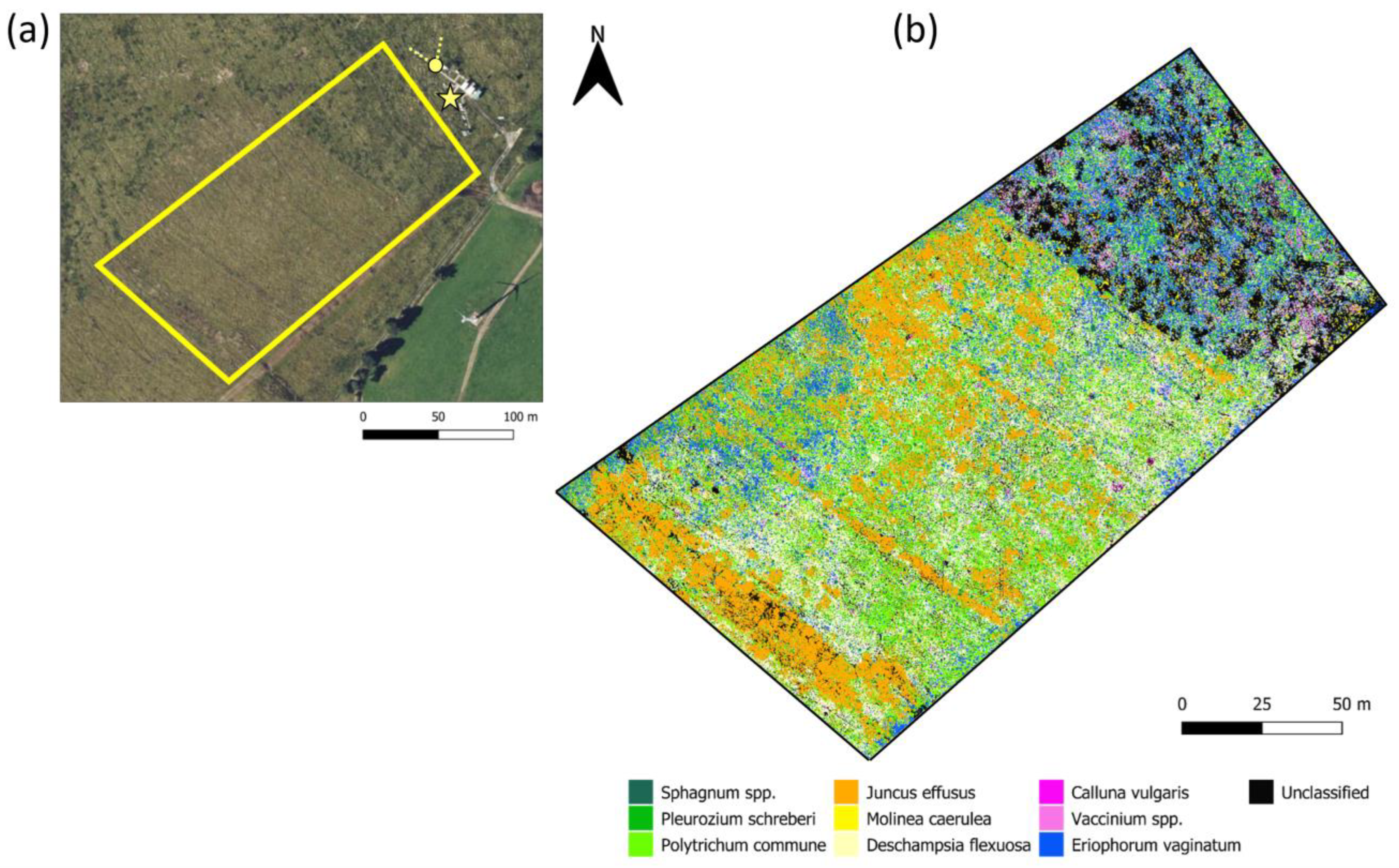 Remotesensing 17 00526 g001