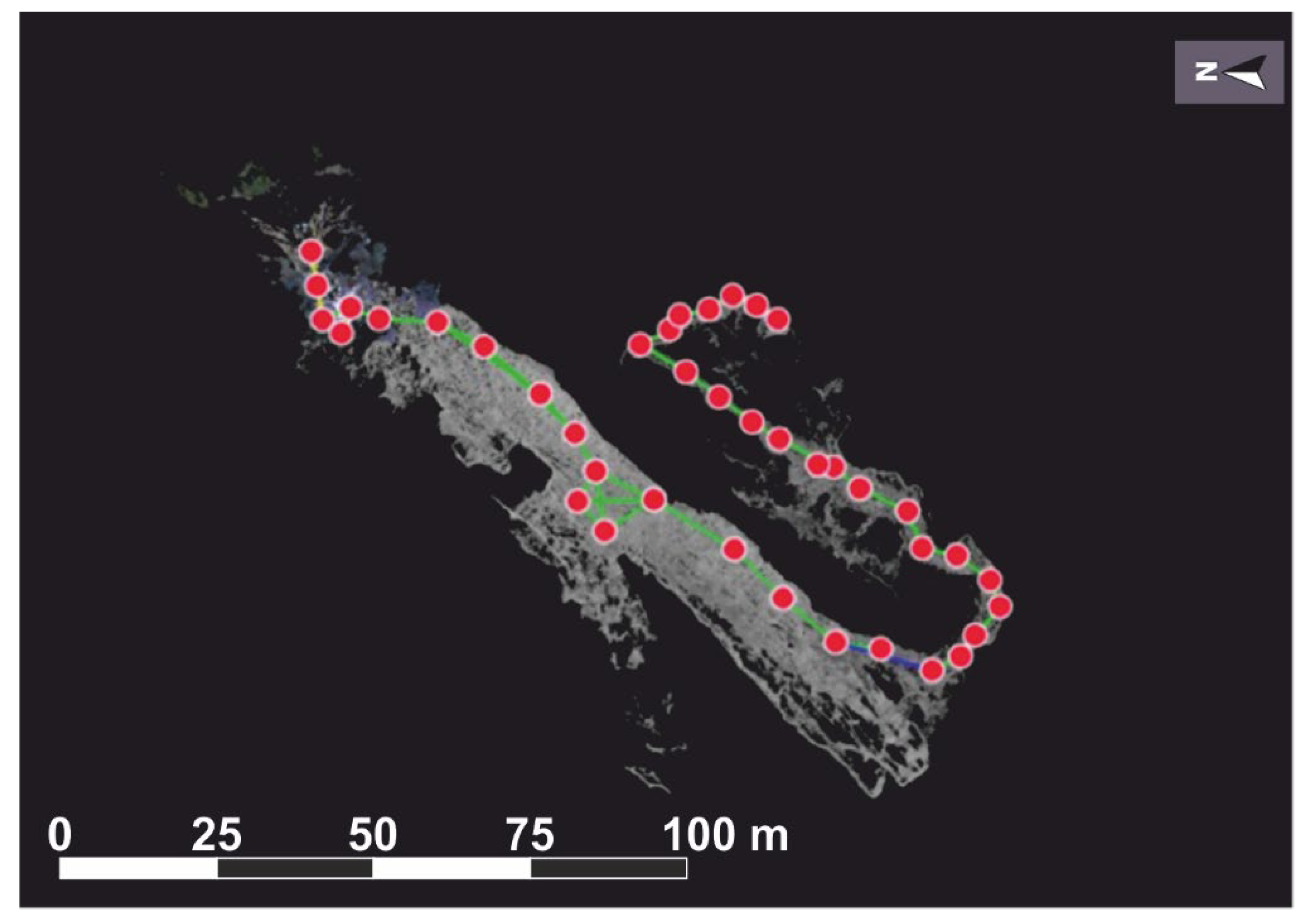 Remotesensing 17 00544 g009